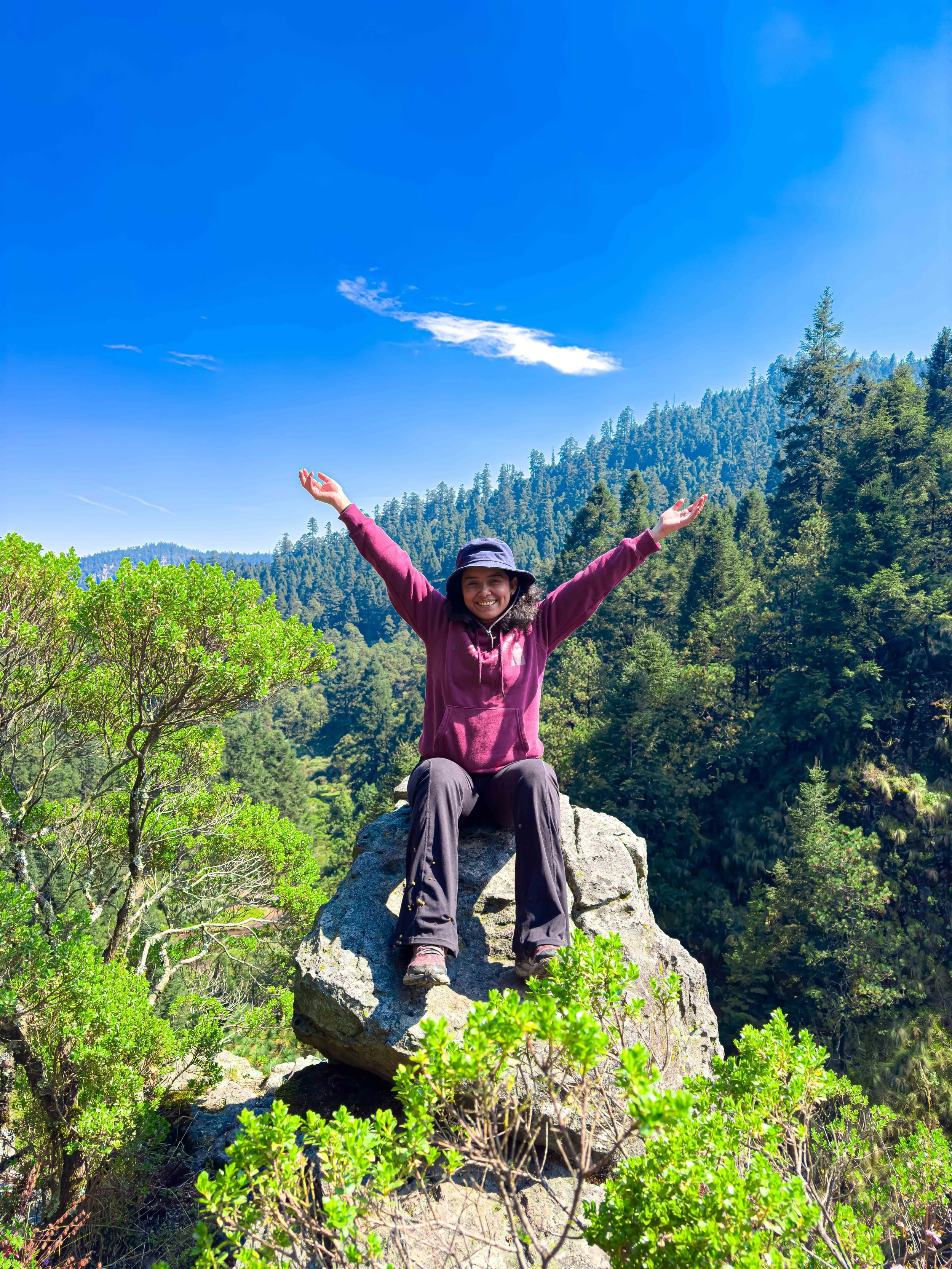 Mujer sonriendo con brazos levantados en una roca en medio de un paisaje de montaña y árboles verdes bajo un cielo azul.