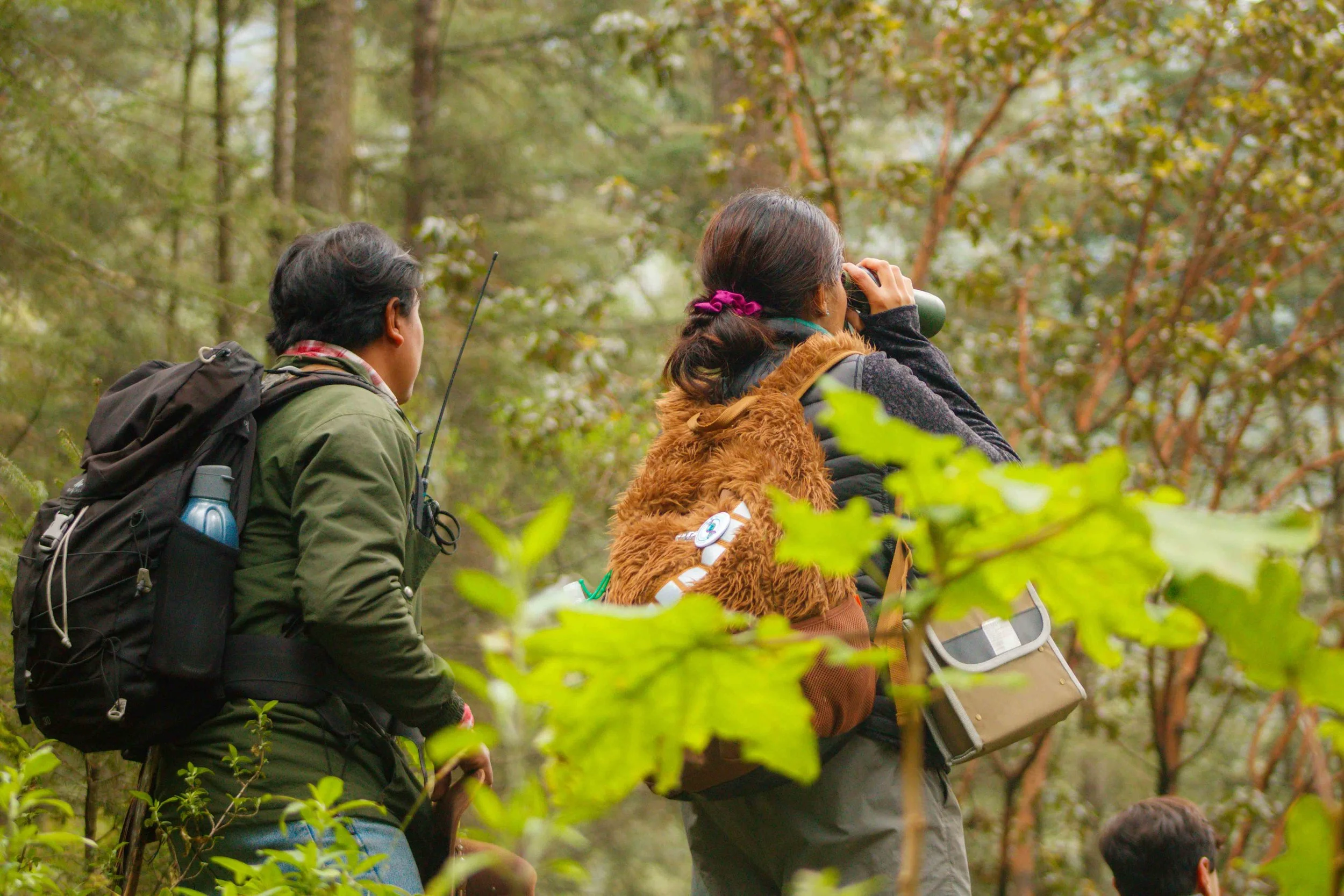 Dos personas observando a través de binoculares en un bosque durante el día.