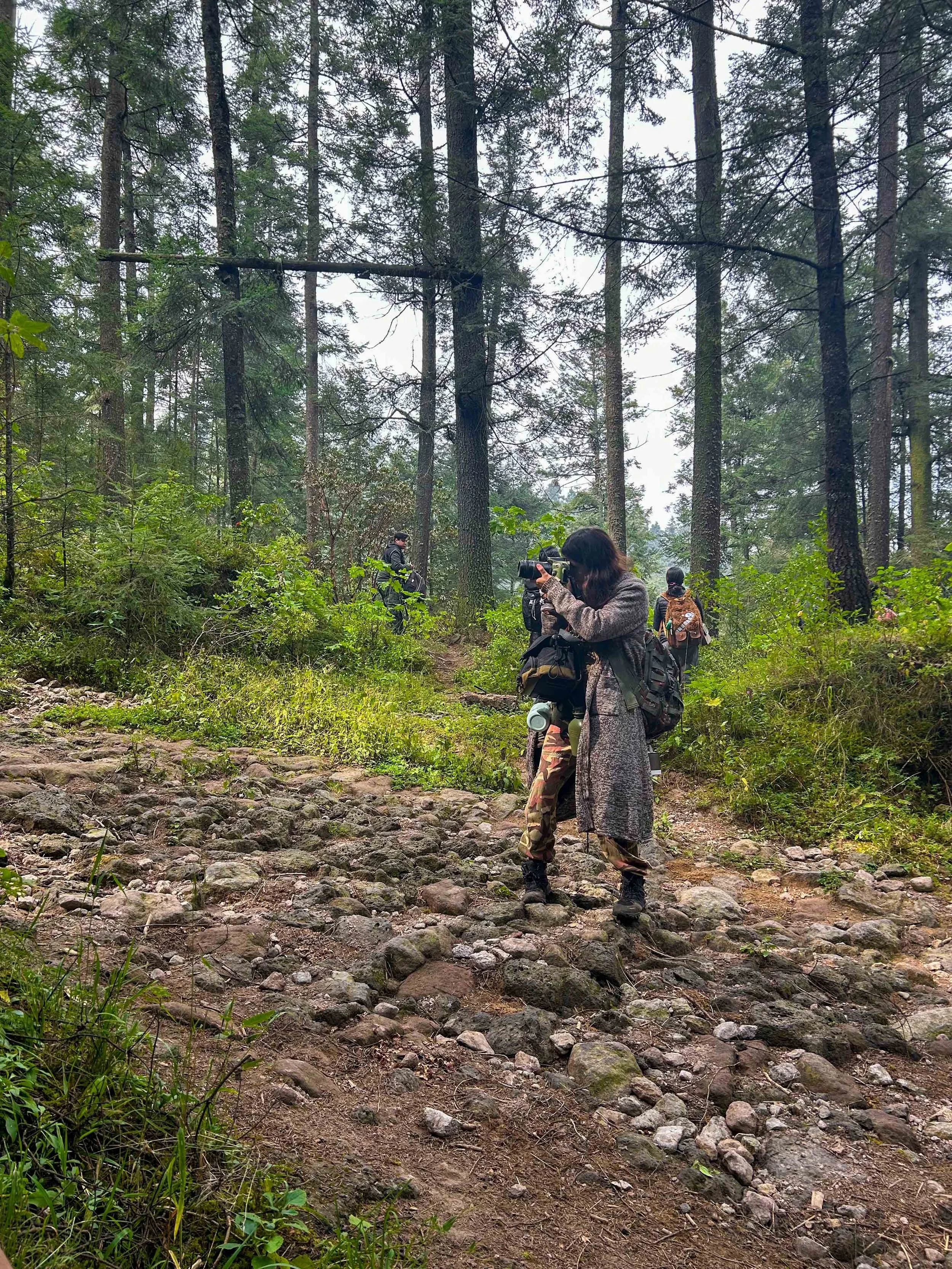 Personas caminando en un sendero de tierra en un bosque de árboles altos y densos, algunos llevan mochilas y cámaras.