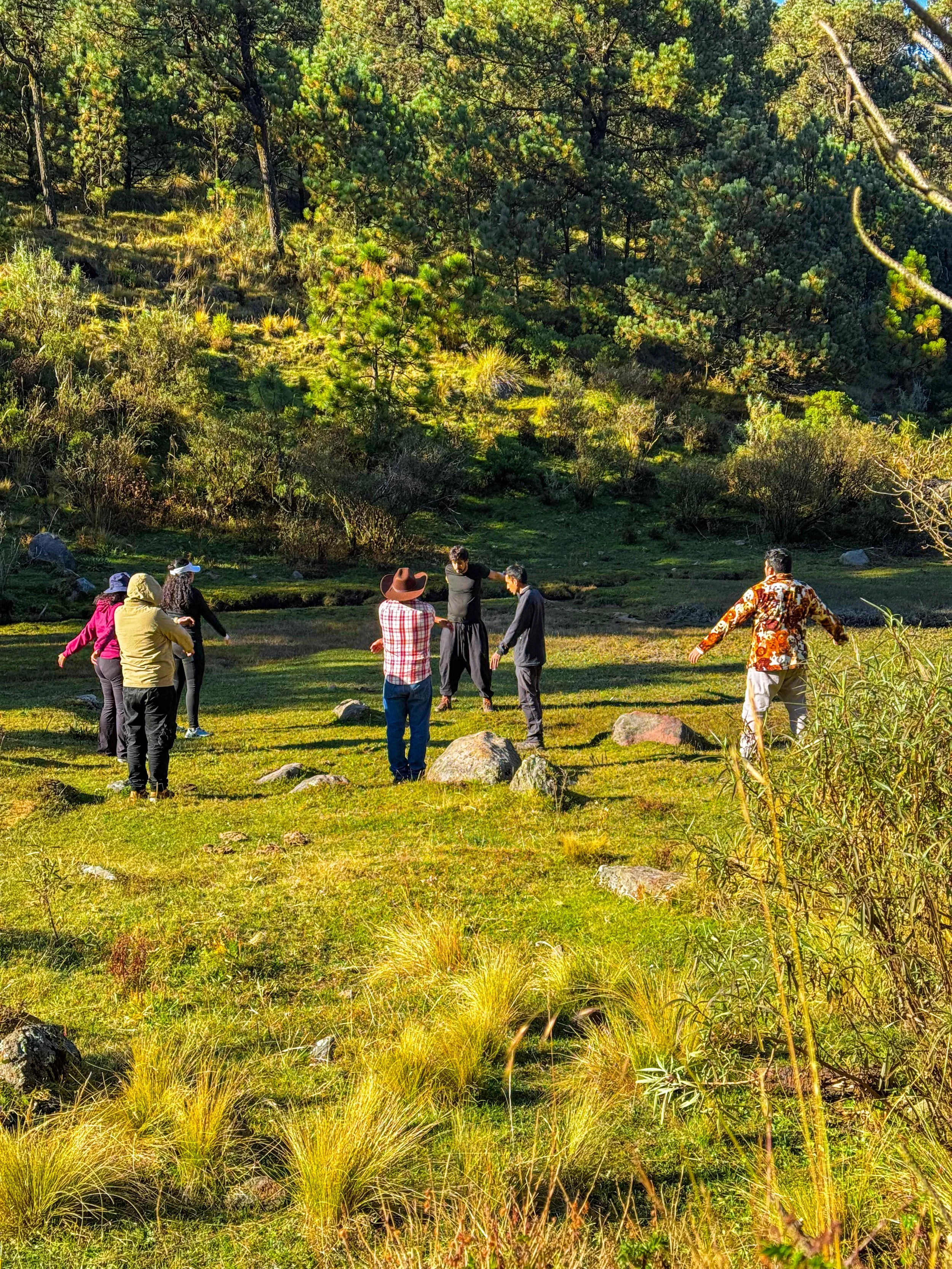 Activa tu cuerpo y tu mente con actividades acopladas al entorno como el TaiChi. 