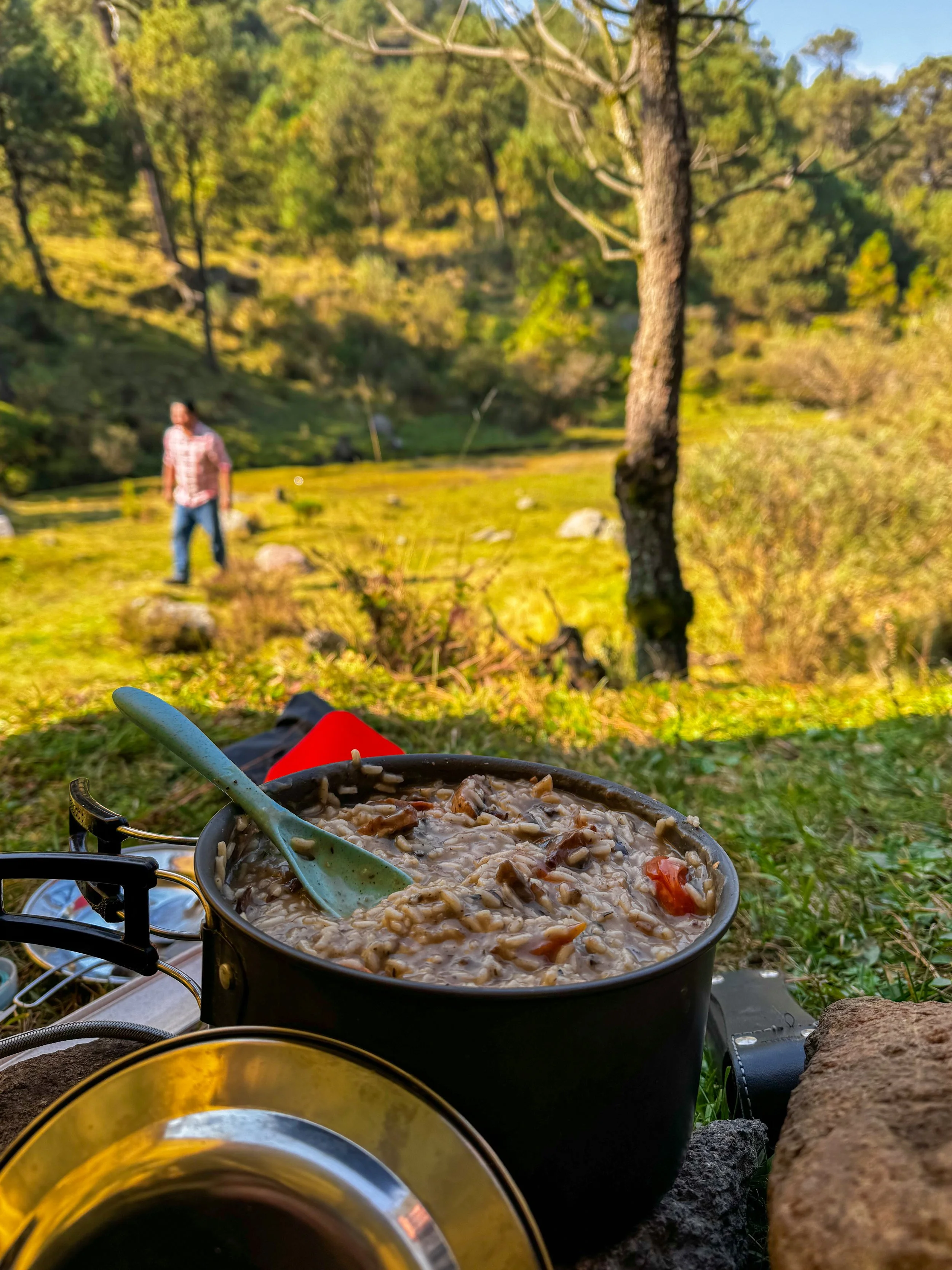 Disfruta de un delicioso menú preparado en medio de la naturaleza (Risotto de hongos silvestres en temporada, por ejemplo)