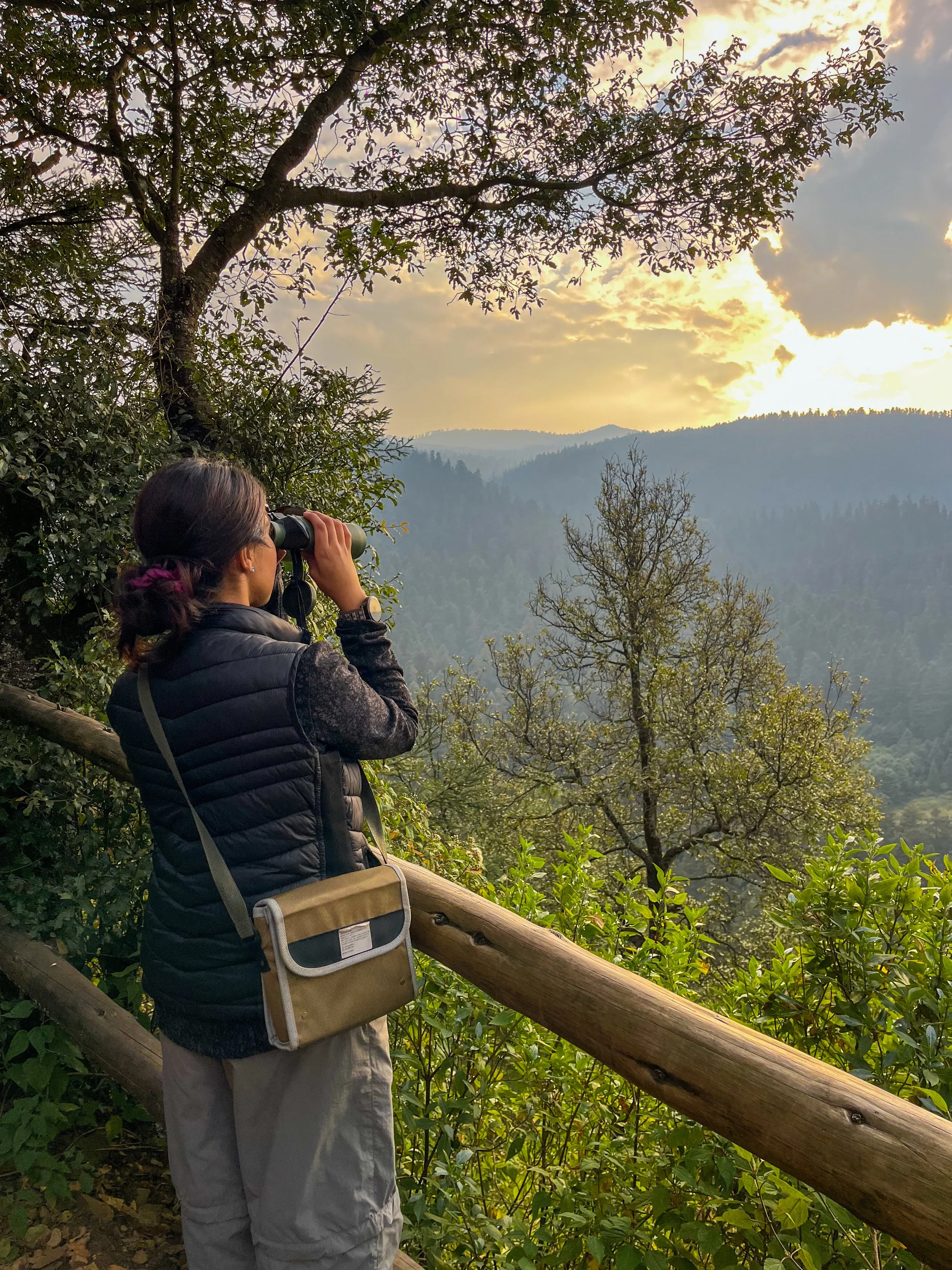 Contempla la naturaleza que te rodea, gracias a eso, han surgido grandes ideas. 