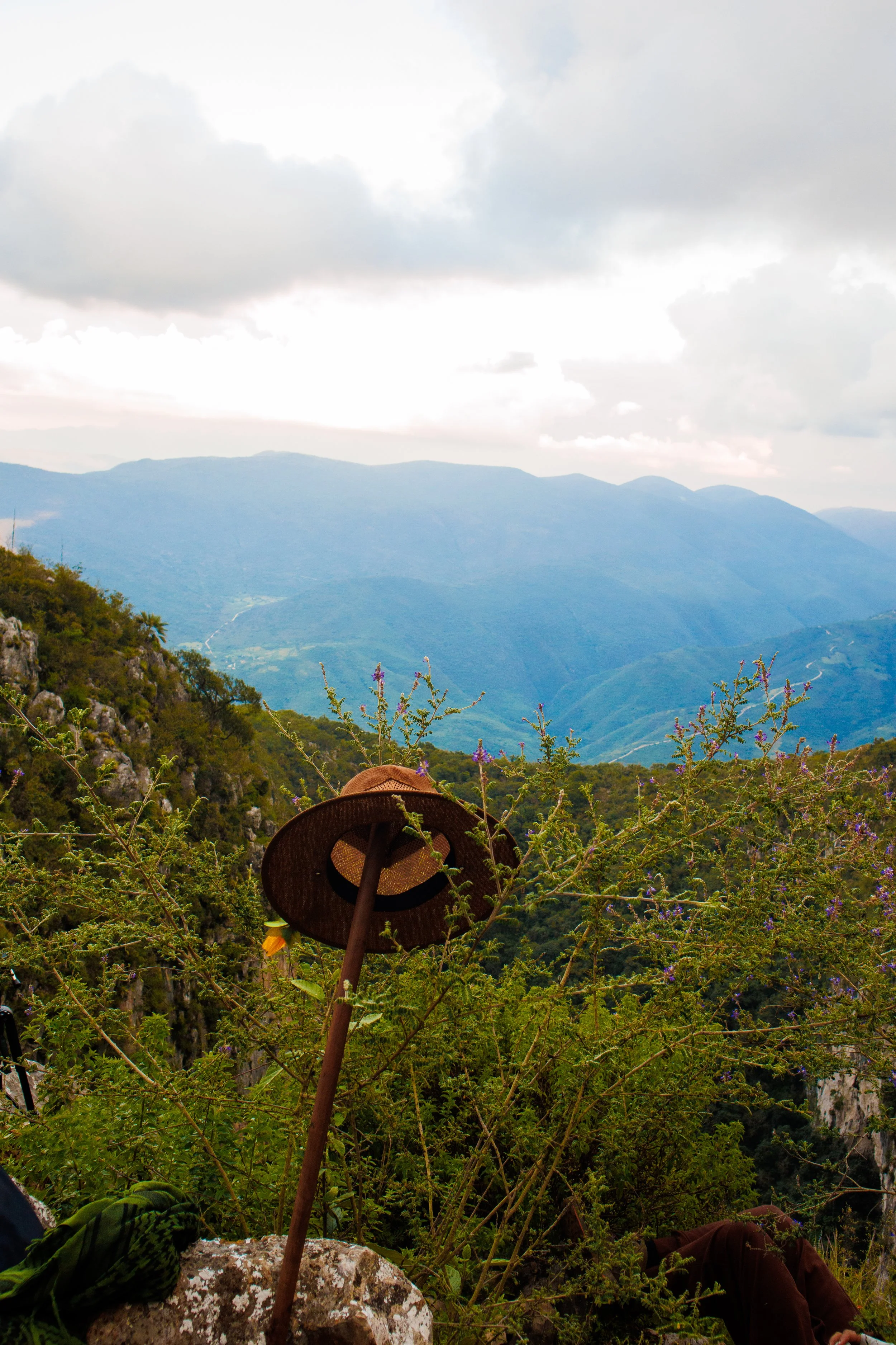 En AlMonte Hikes siempre procuramos tu seguridad, el aprendizaje continuo desde la horizontalidad, el amor y el respeto hacia la naturaleza.