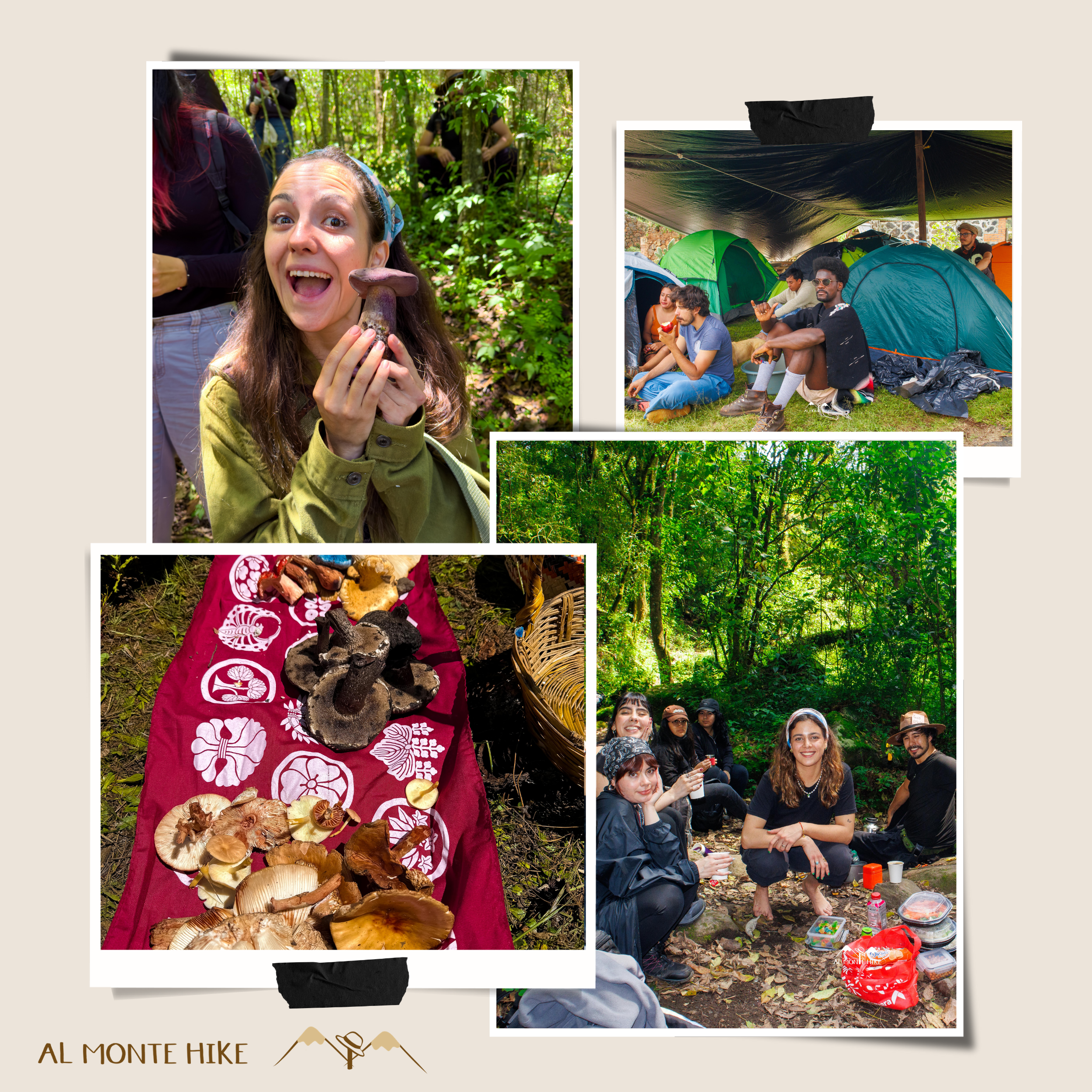 Un grupo de personas en un campamento de senderismo en un bosque con tiendas de campaña y comida. Una mujer sostiene un hongo y sonríe a la cámara.