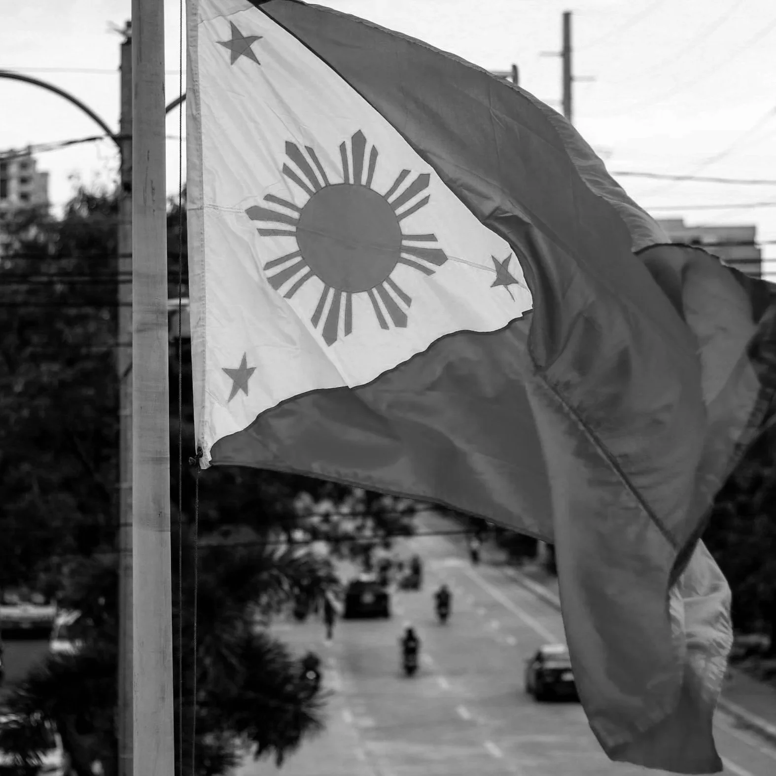 A black and white photo of a flag with a sun and stars on it, waving outdoors with trees, buildings, power lines, and a street in the background.