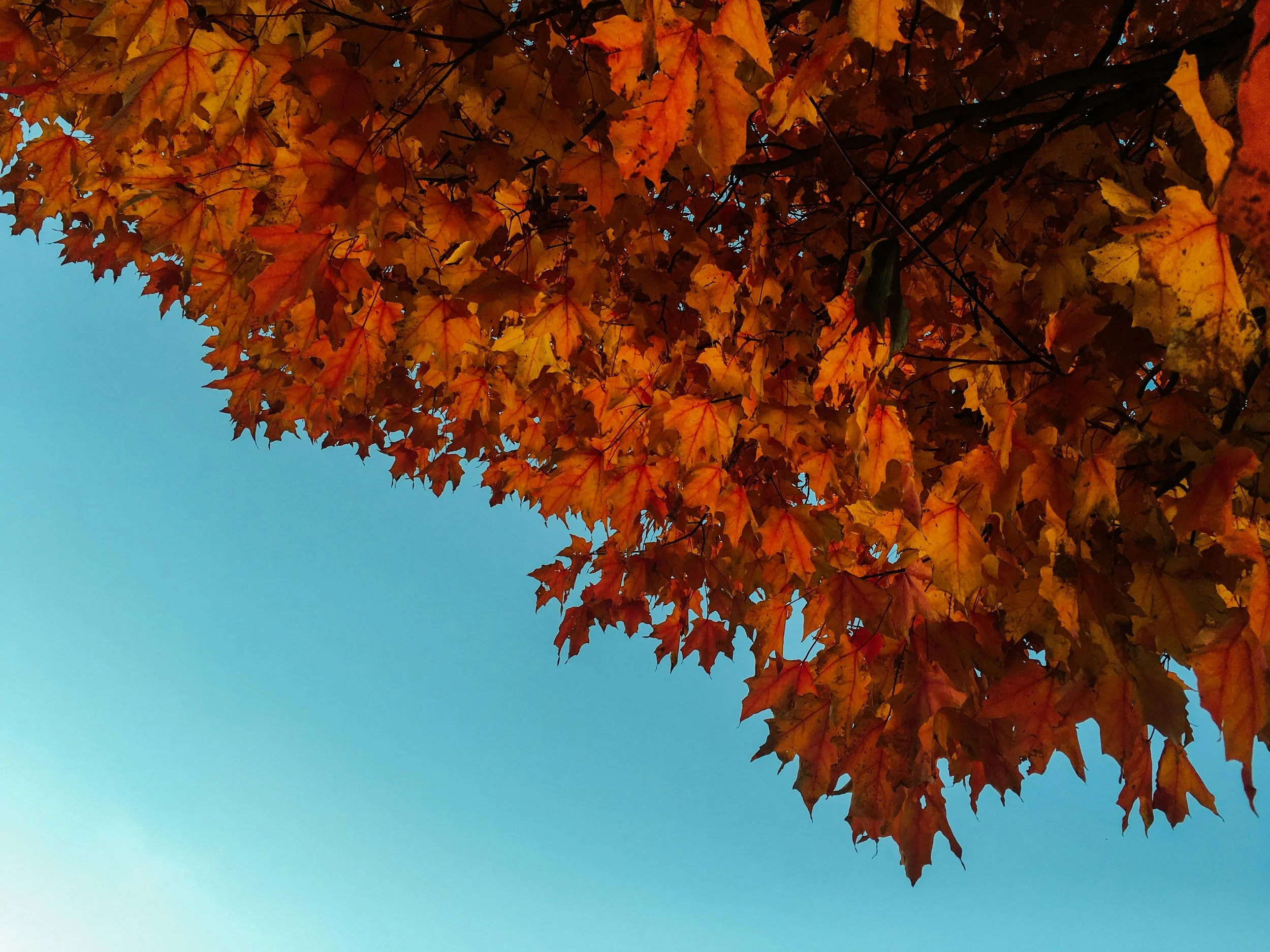 Your Fall Home Heating Checklist