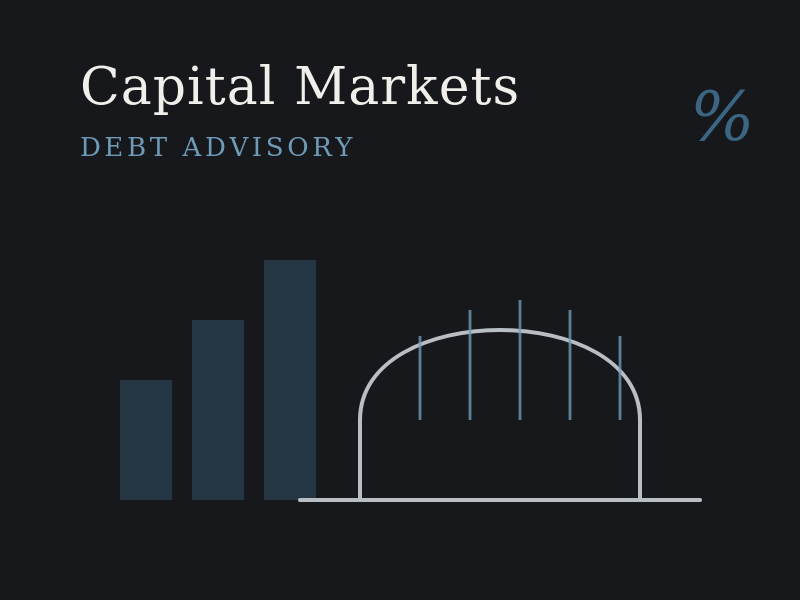 A dark background slide titled "Capital Markets DEBT ADVISORY" with a bar graph and curved line chart representing financial data.