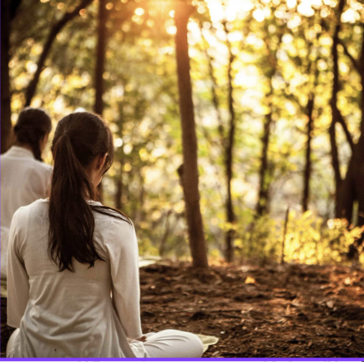 People sitting cross-legged and meditating outdoors in a wooded park during sunset.