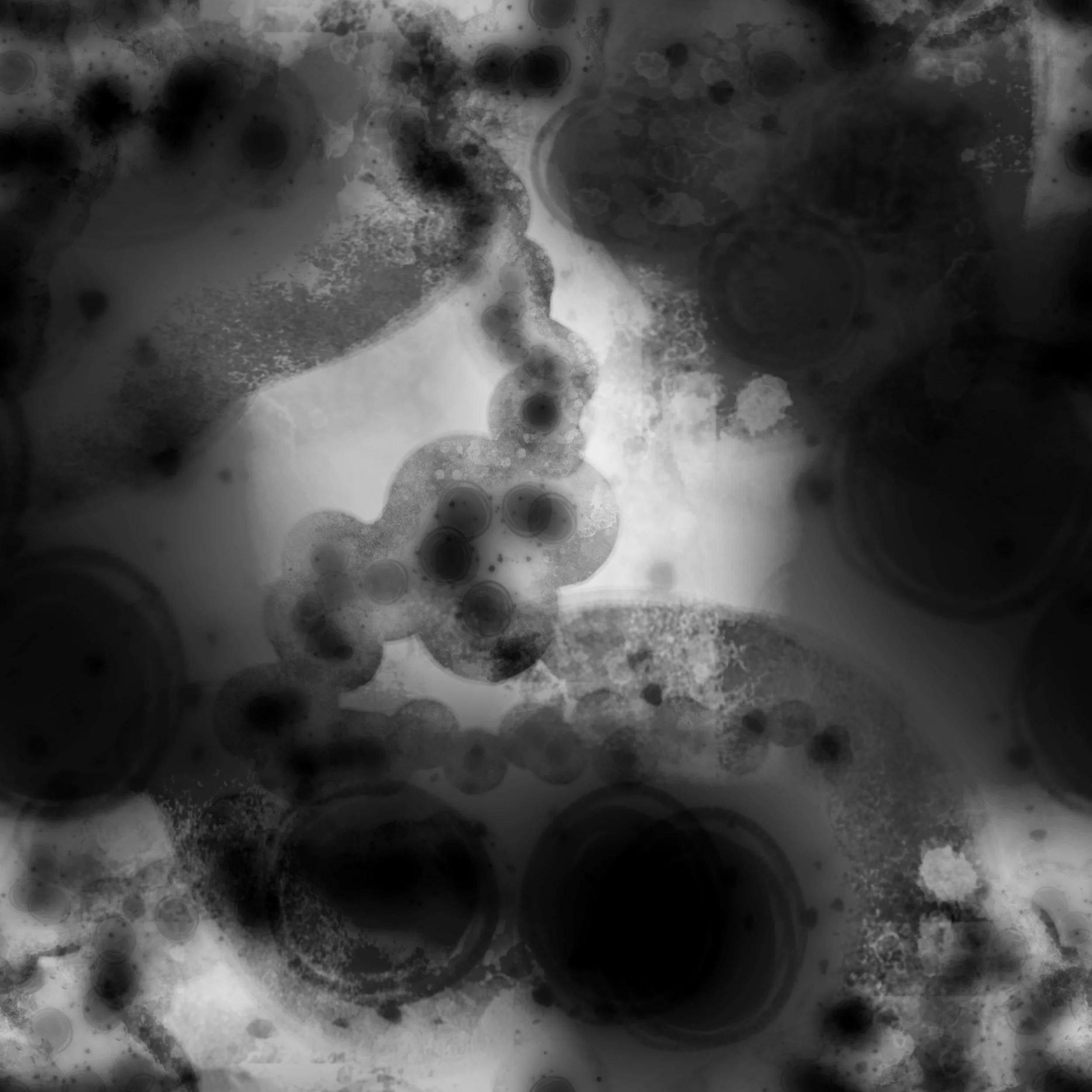 Black X-Ray