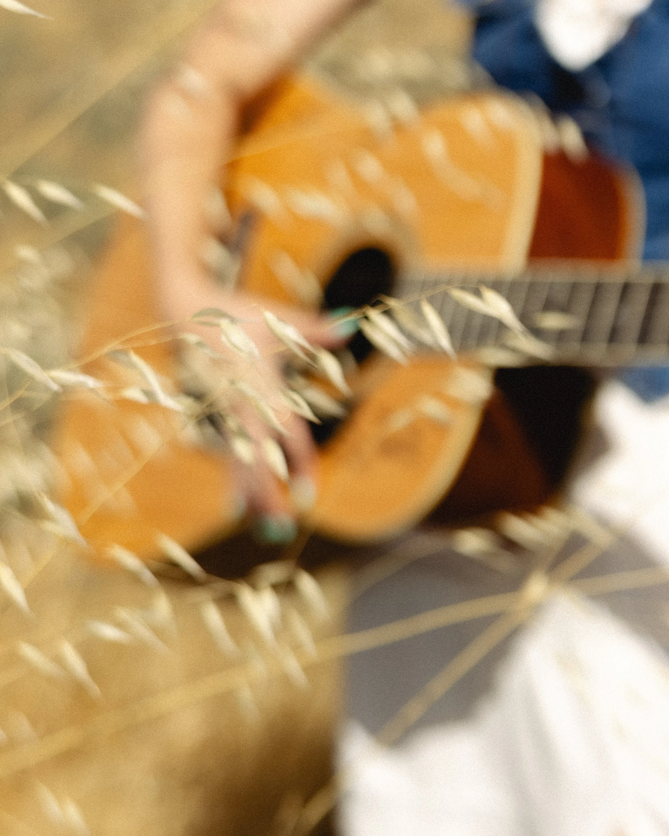 rissphotographs-1681.jpg