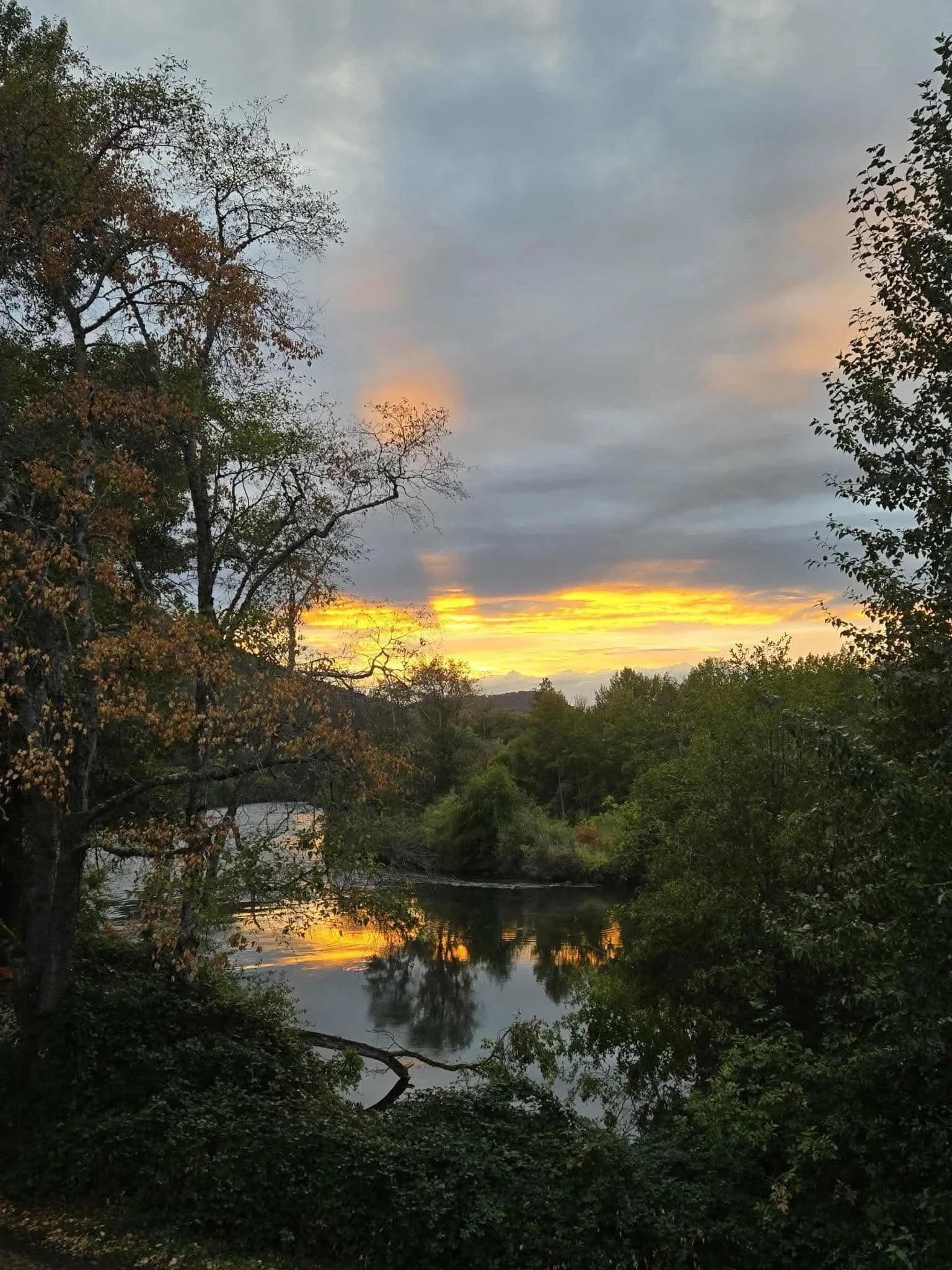 Sunset over a river with trees on both sides, some with autumn-colored leaves and others green, and cloudy sky.