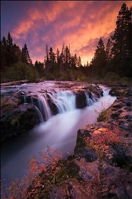 A river cascading over rocks with a forest of evergreen trees in the background under a colorful sunset sky.