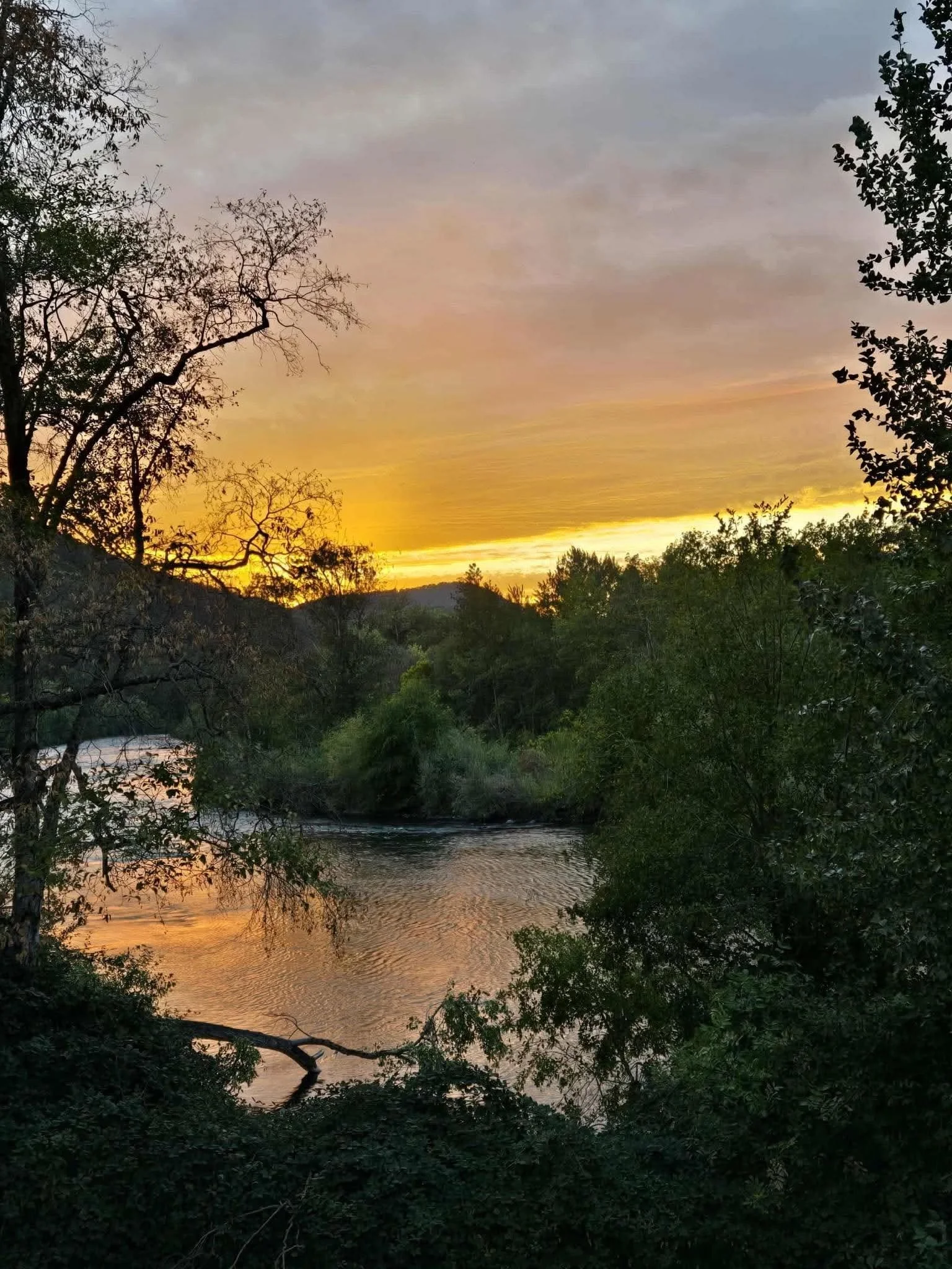 A scenic view of a river at sunset with trees on both sides and a mountain in the background.