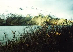 goodrich-rebecca-unalaska-250.jpg