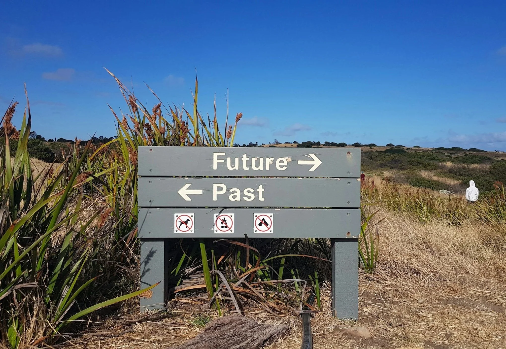 A directional sign outdoors with the word 'Future' pointing to the right and 'Past' to the left, surrounded by tall grass and plants under a blue sky.