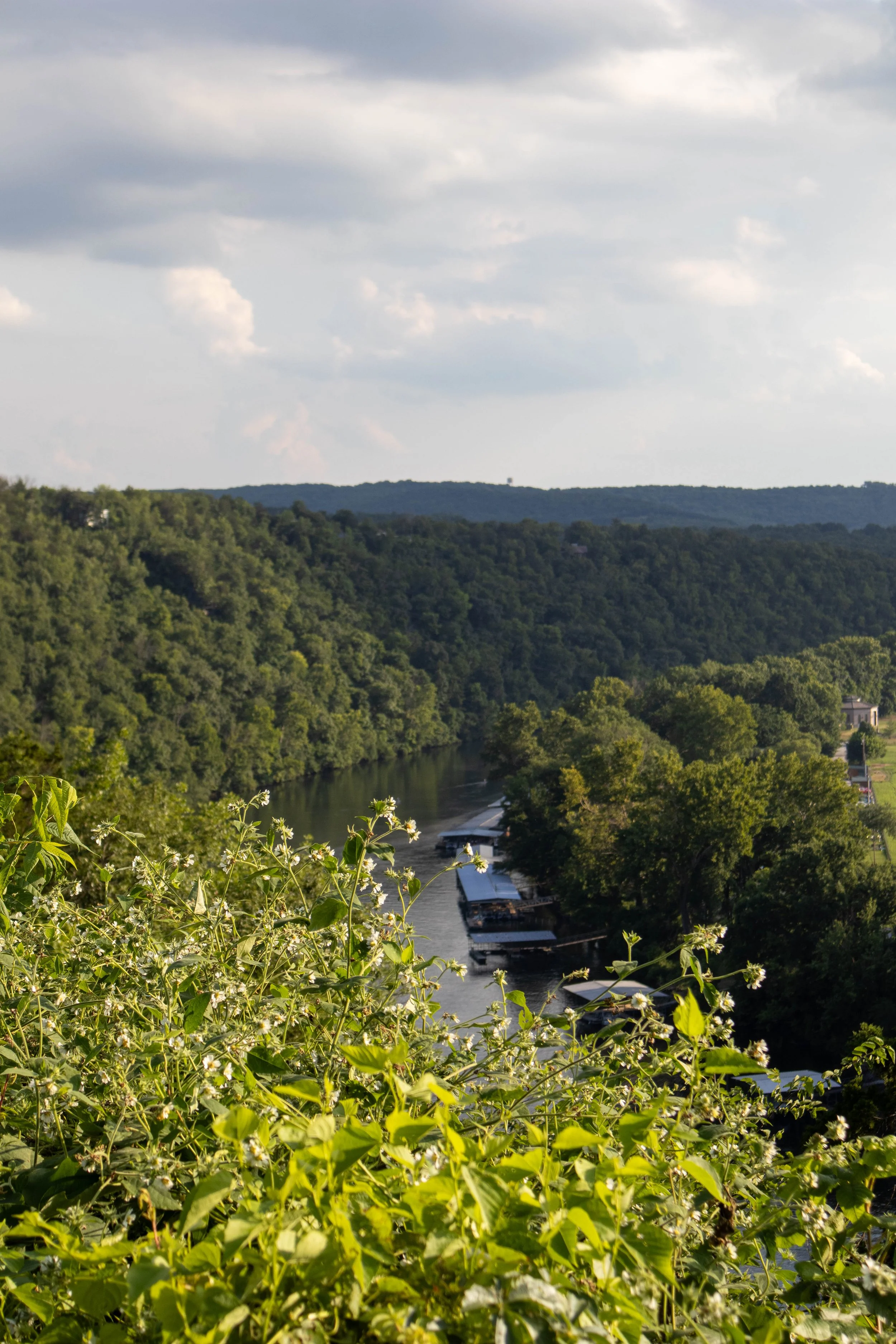 View of a river with boats docked along the shoreline, surrounded by dense green trees and hills under a partly cloudy sky.