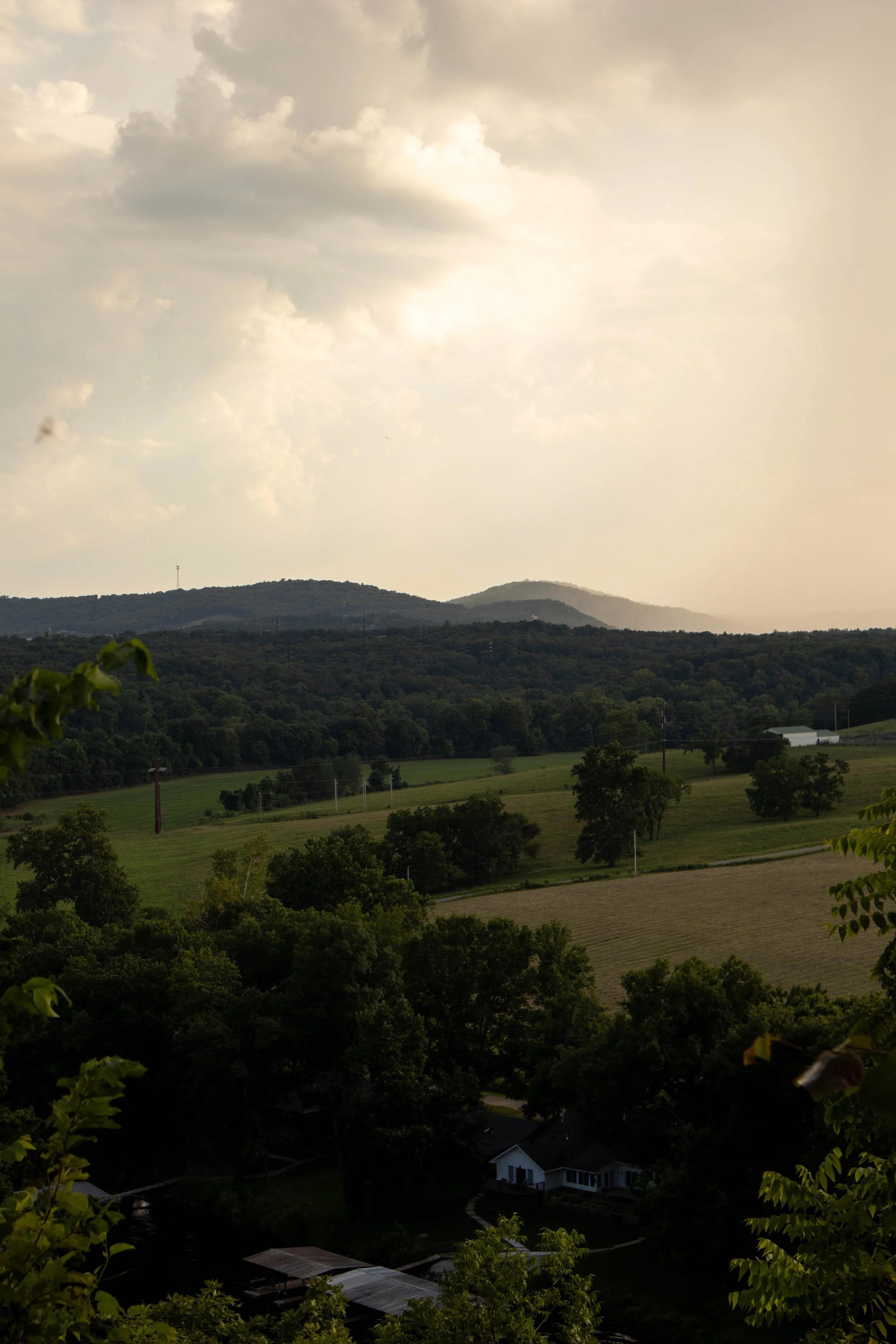 Scenic view of rolling green hills with trees and scattered houses under a cloudy sky.