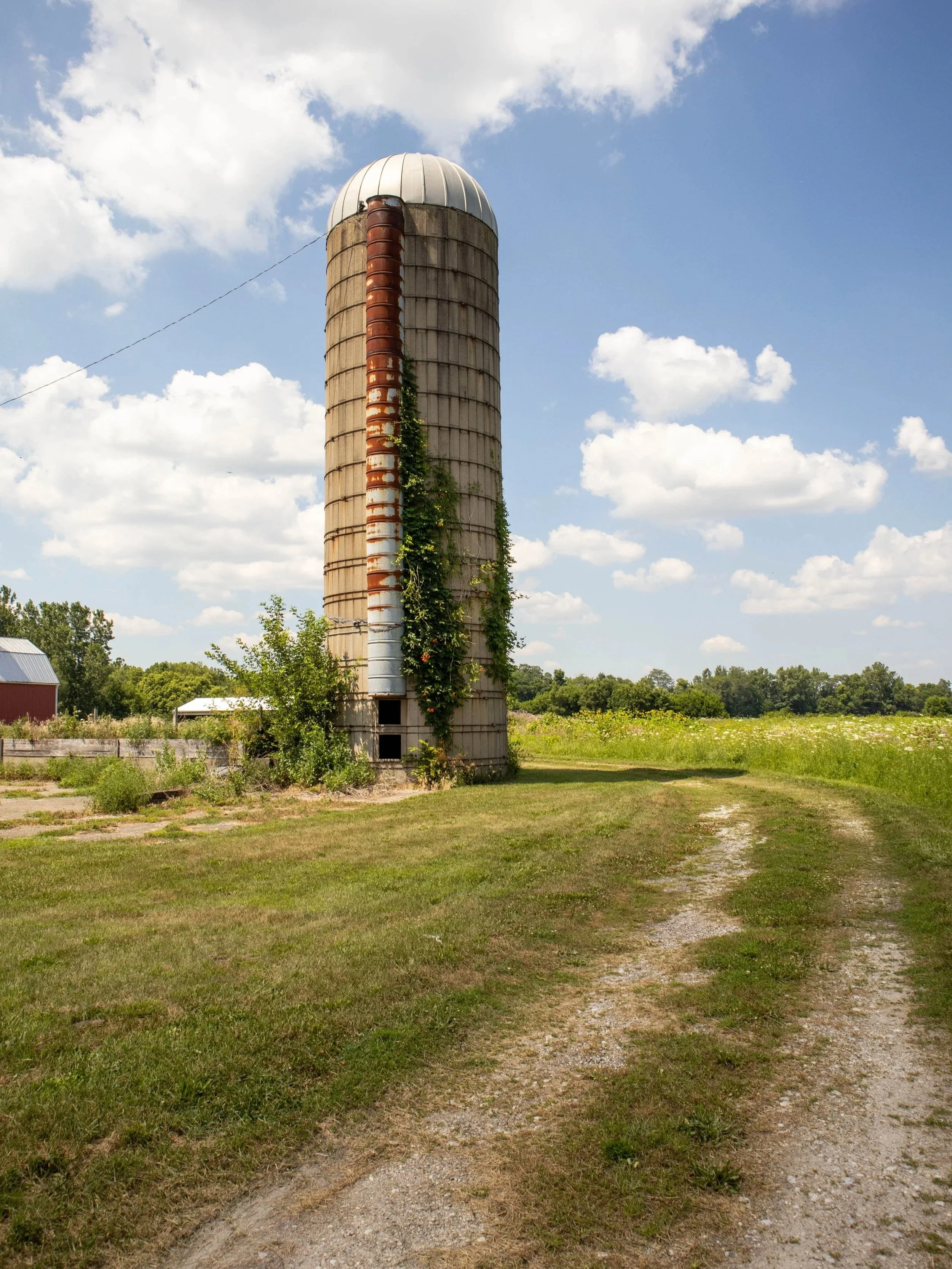 A tall, cylindrical grain silo made of concrete and metal, with a rusted metal chimney running down its side, situated in a rural area with grassy fields, trees, and scattered farm buildings under a partly cloudy blue sky.