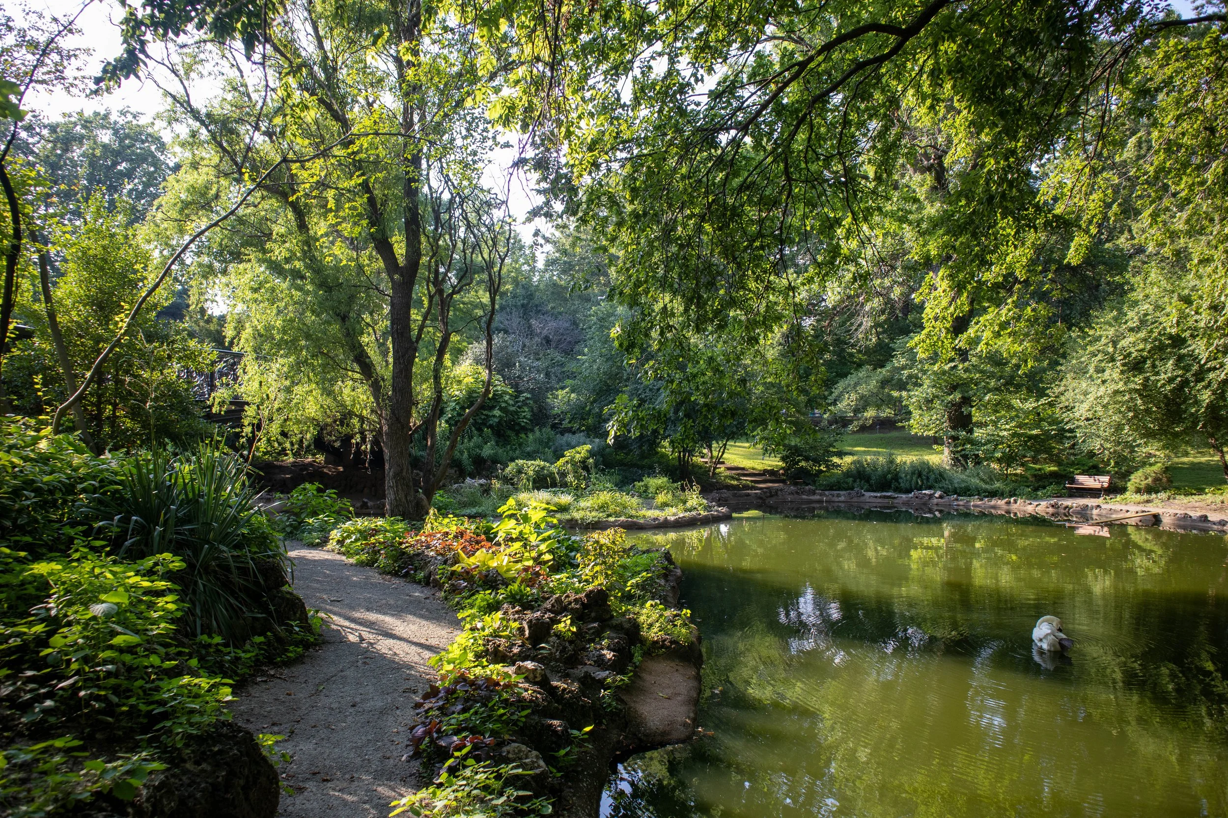 A serene park scene with a walking path along a pond, surrounded by lush green trees and bushes, under a bright sunny sky.