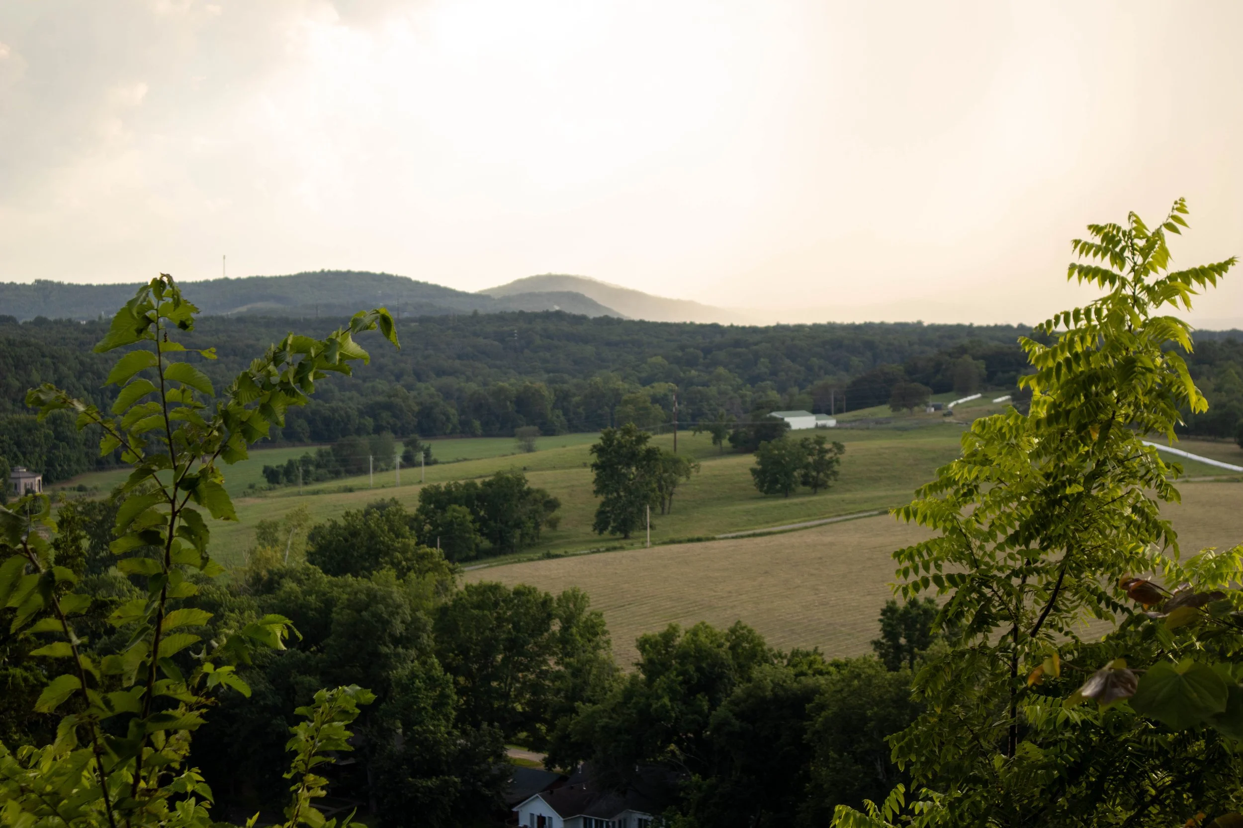Scenic view of rolling hills and fields with trees, houses, and distant mountains under a bright sky.