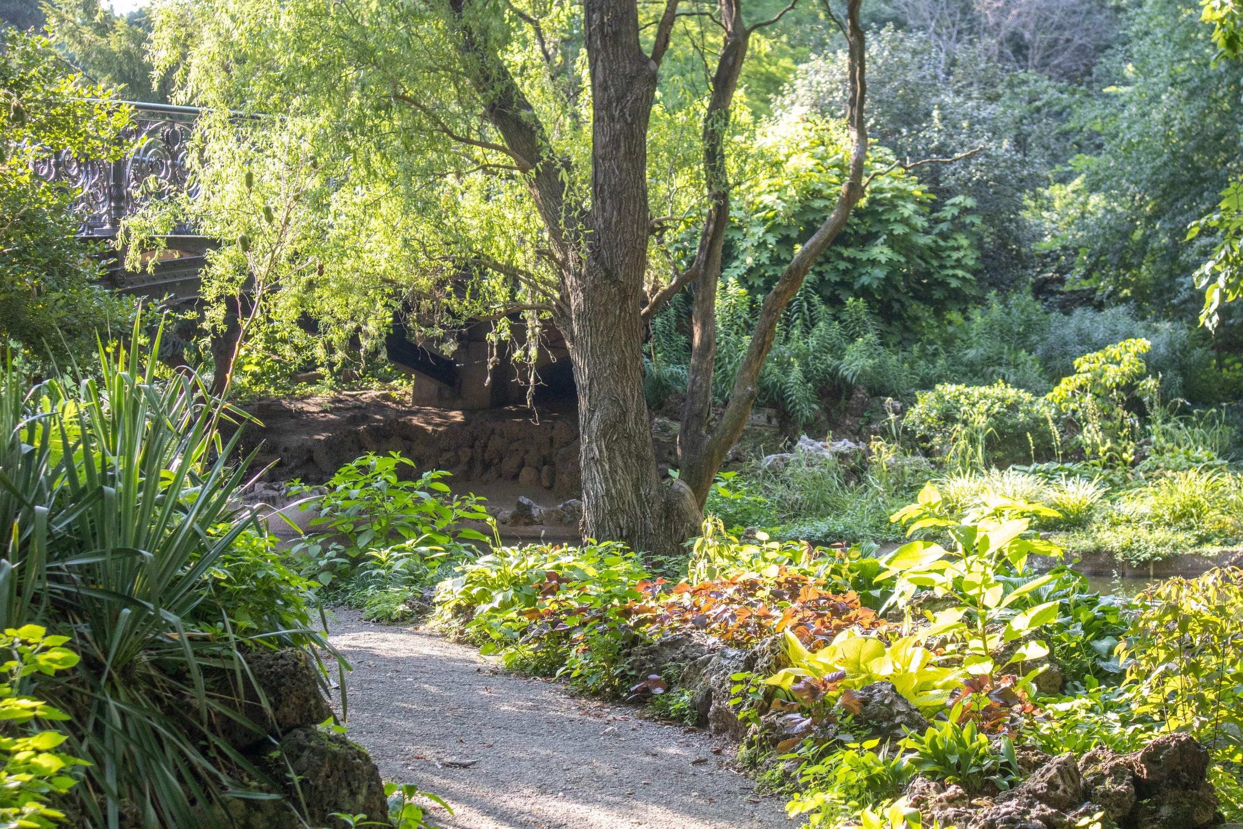 A lush garden with a winding gravel path surrounded by green plants and trees, with sunlight filtering through the foliage.