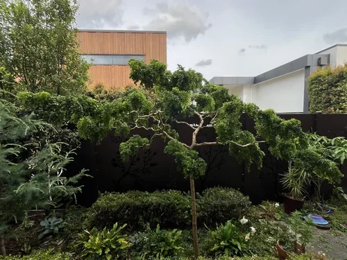Why Regular Garden Maintenance Is So Important