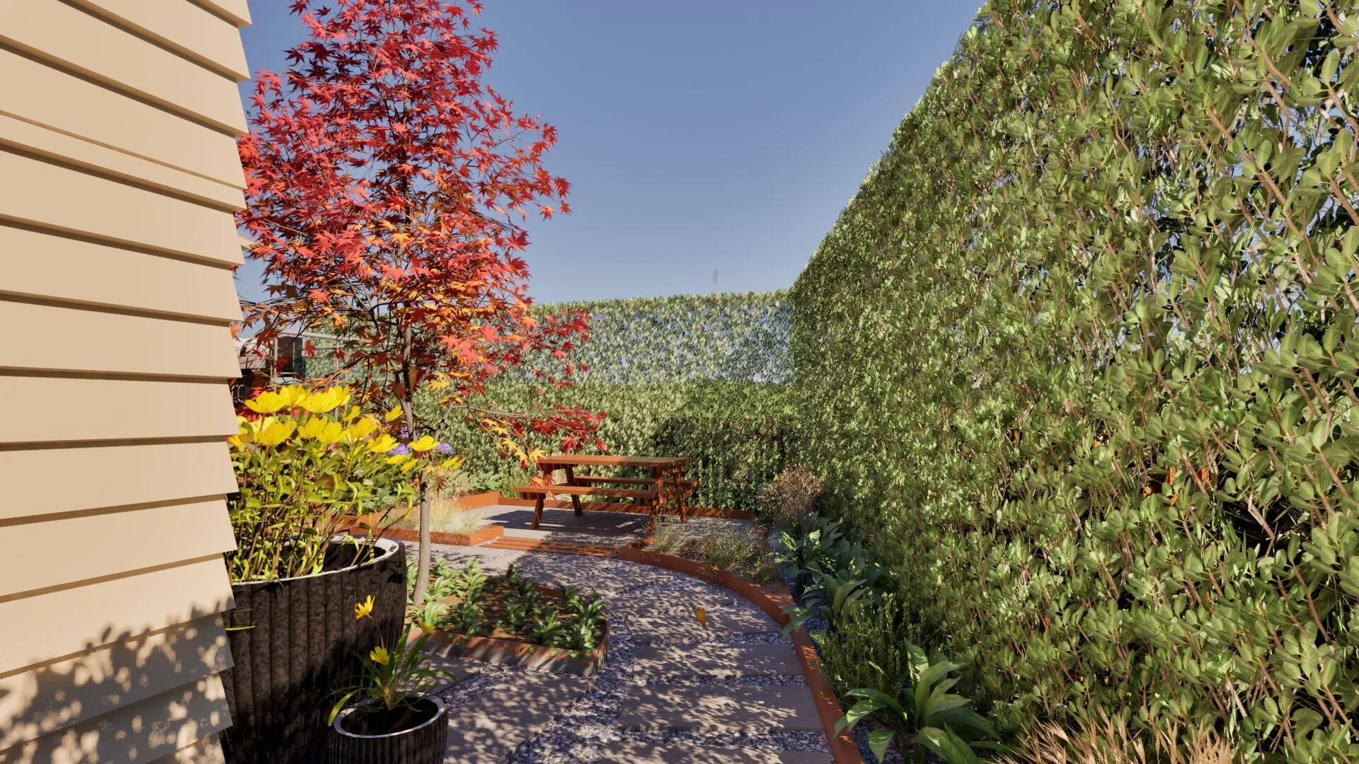 A backyard garden with a gravel pathway, a wooden bench, and a variety of plants including a small tree with red leaves, yellow flowers, and green shrubs, surrounded by tall green hedges under a clear blue sky.