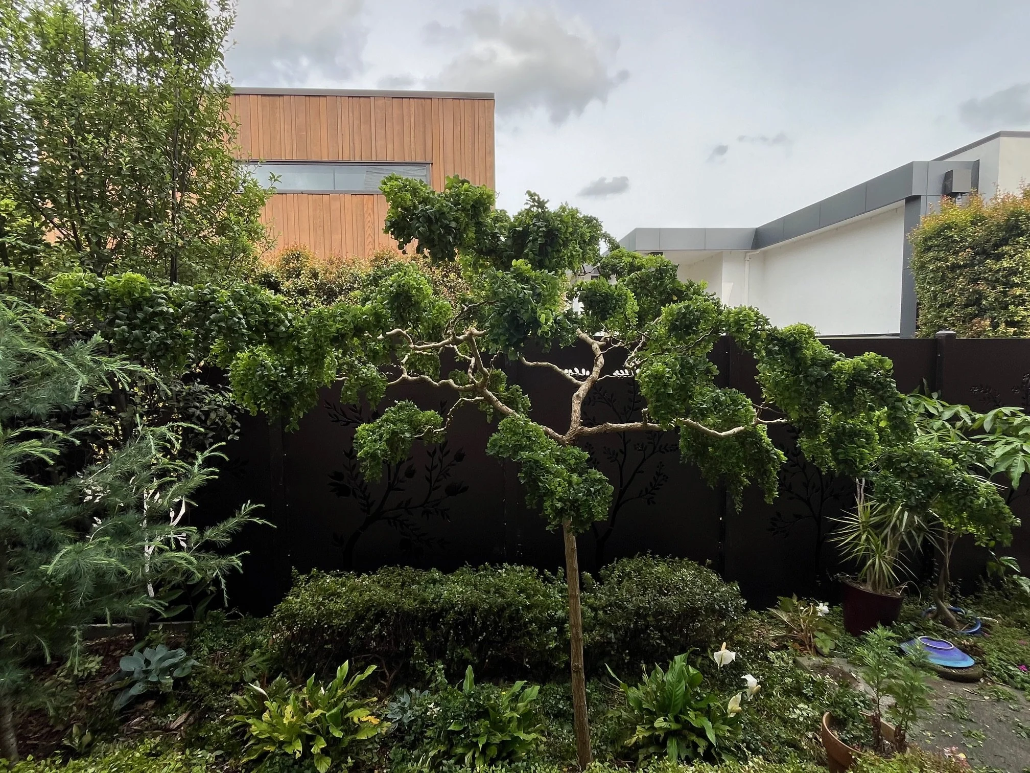 A garden with a small, sculpted tree surrounded by various green plants and bushes, with modern buildings in the background under a cloudy sky.