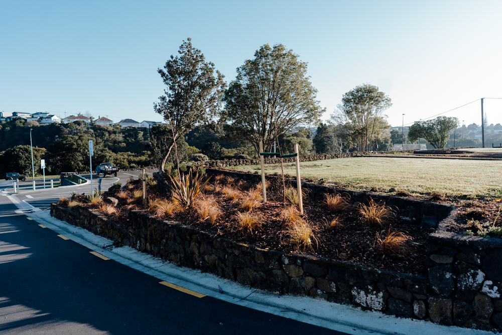 Street view with a landscaped small garden bed containing trees and drought-tolerant plants, adjacent to a paved road with cars and traffic signs under a clear sky.