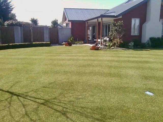 A backyard with a large green lawn, a red house with a metal roof, and a wooden fence in the background. There are potted plants and gardening tools near the house.