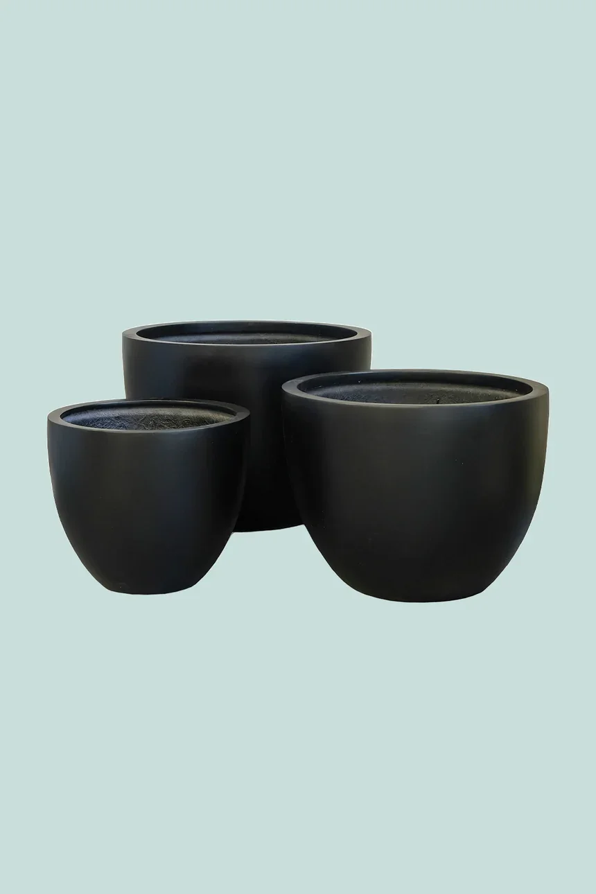 Bianca-Egg-Range-black_860x.webp
