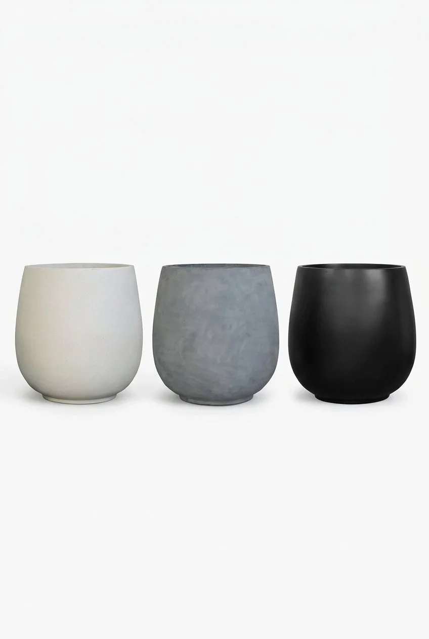 Minimalist Bianca Palm Planter