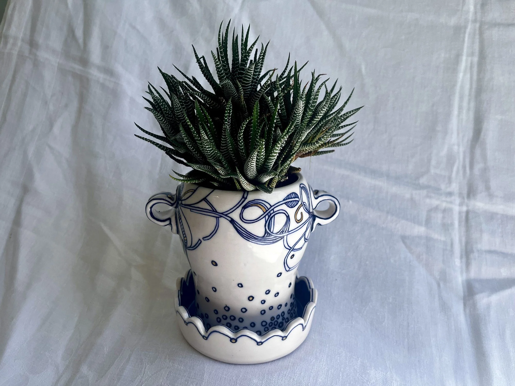 Hand-thrown porcelain planter No. 001 planted with a succulent on its matching saucer