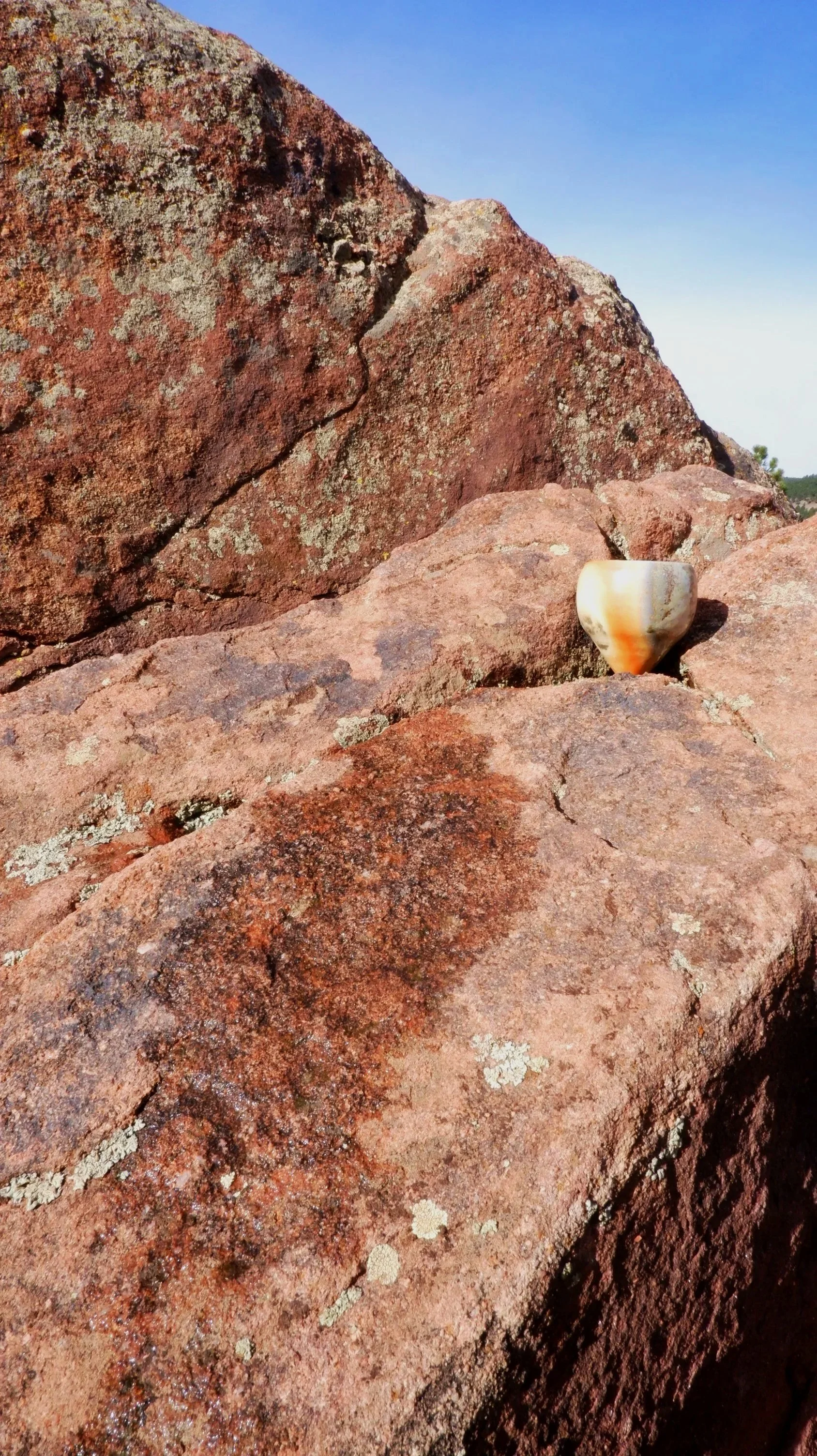 A close-up view of reddish-brown rocks with lichen growth and a small seashell resting on one of the rocks, under a clear blue sky.
