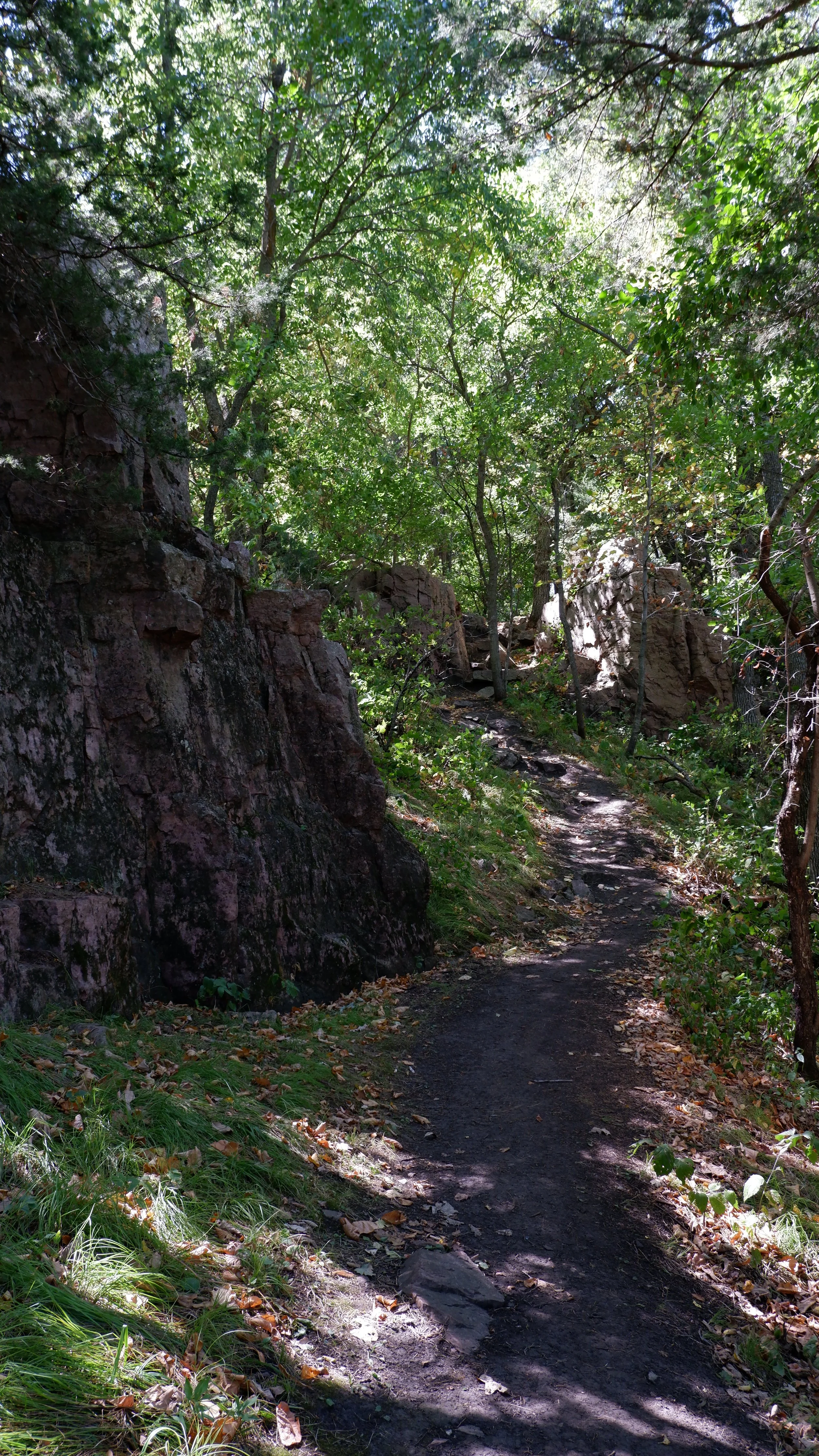 A narrow dirt trail winding through a densely wooded forest with sun filtering through the trees, and rocks lining the path.