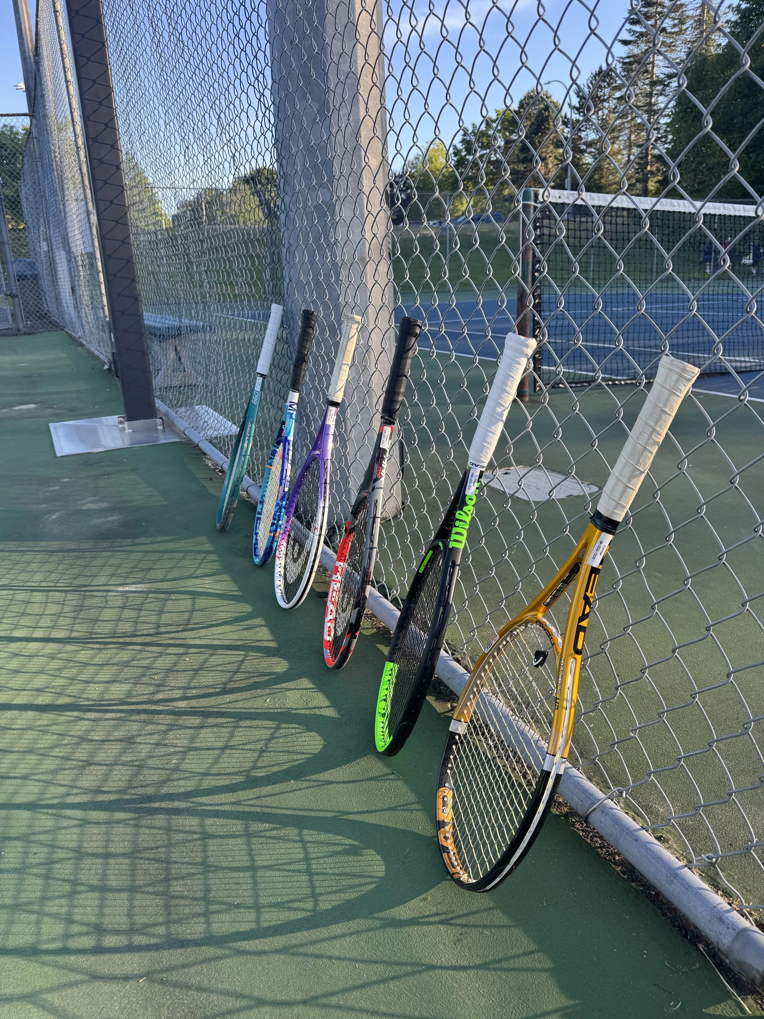 Seven tennis rackets leaning against a chain-link fence on a tennis court with trees and a blue sky in the background.