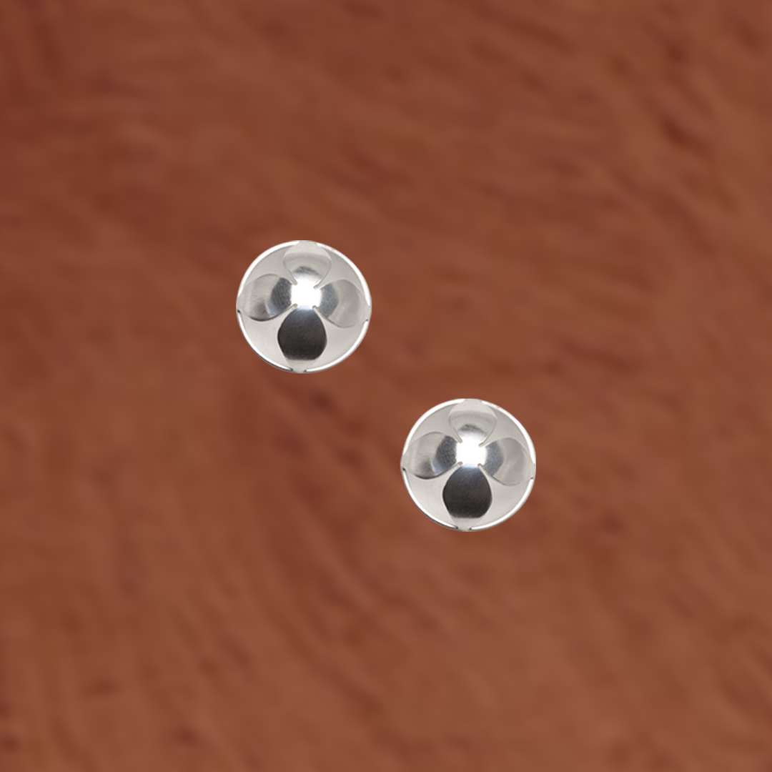 aretes+olivo+extendido.png