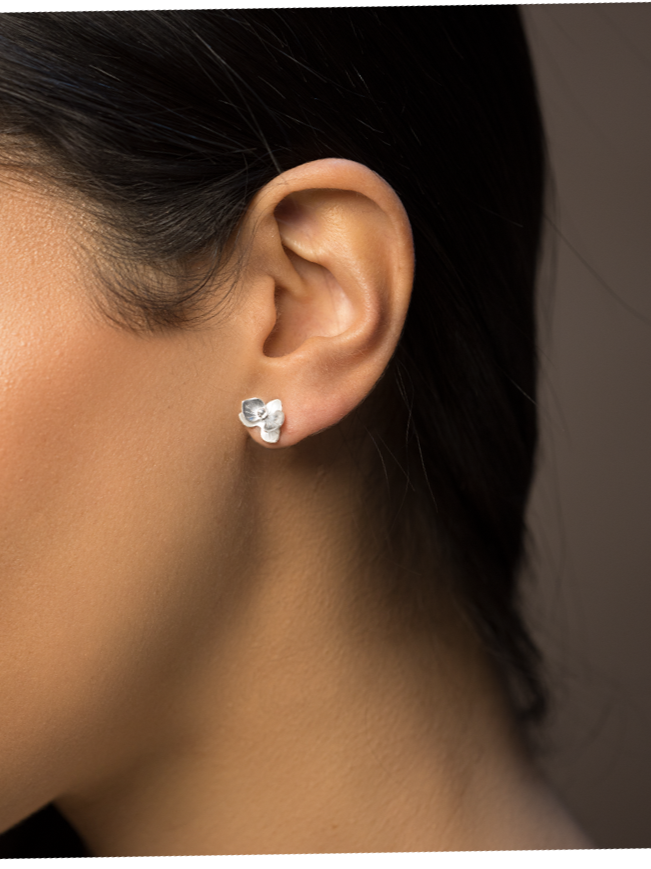 aretes+mo+f.png