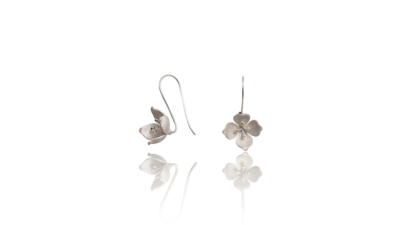 Gemini_Generated_Image_ed4105ed4105ed41.png