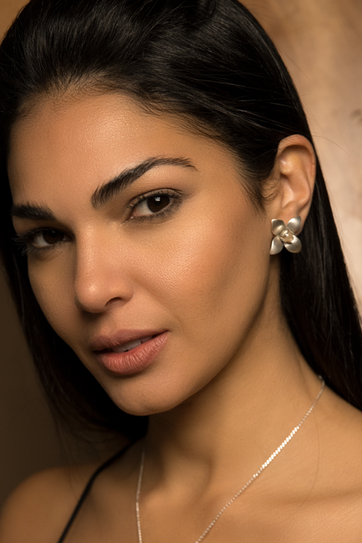 aretes+p+f.png