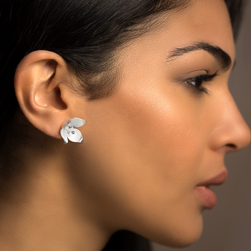 aretes+olivo+f.png