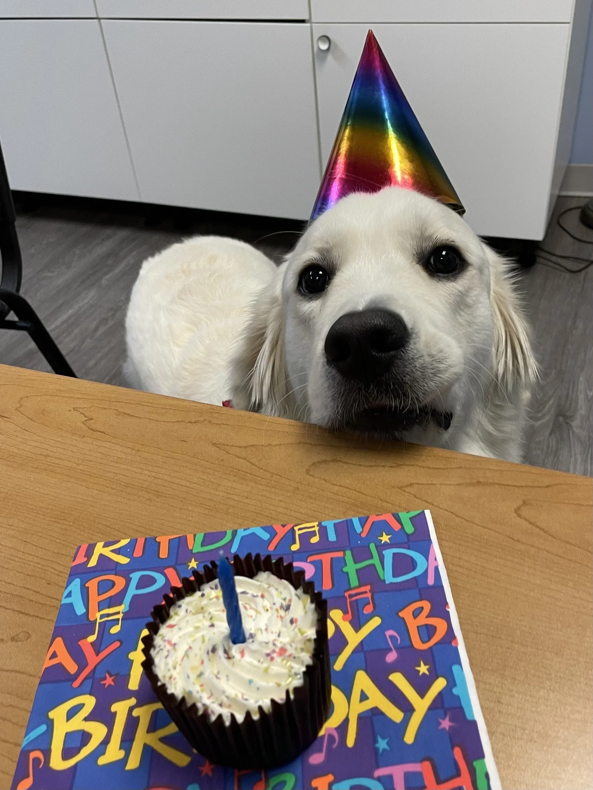 Turning One and Having Fun