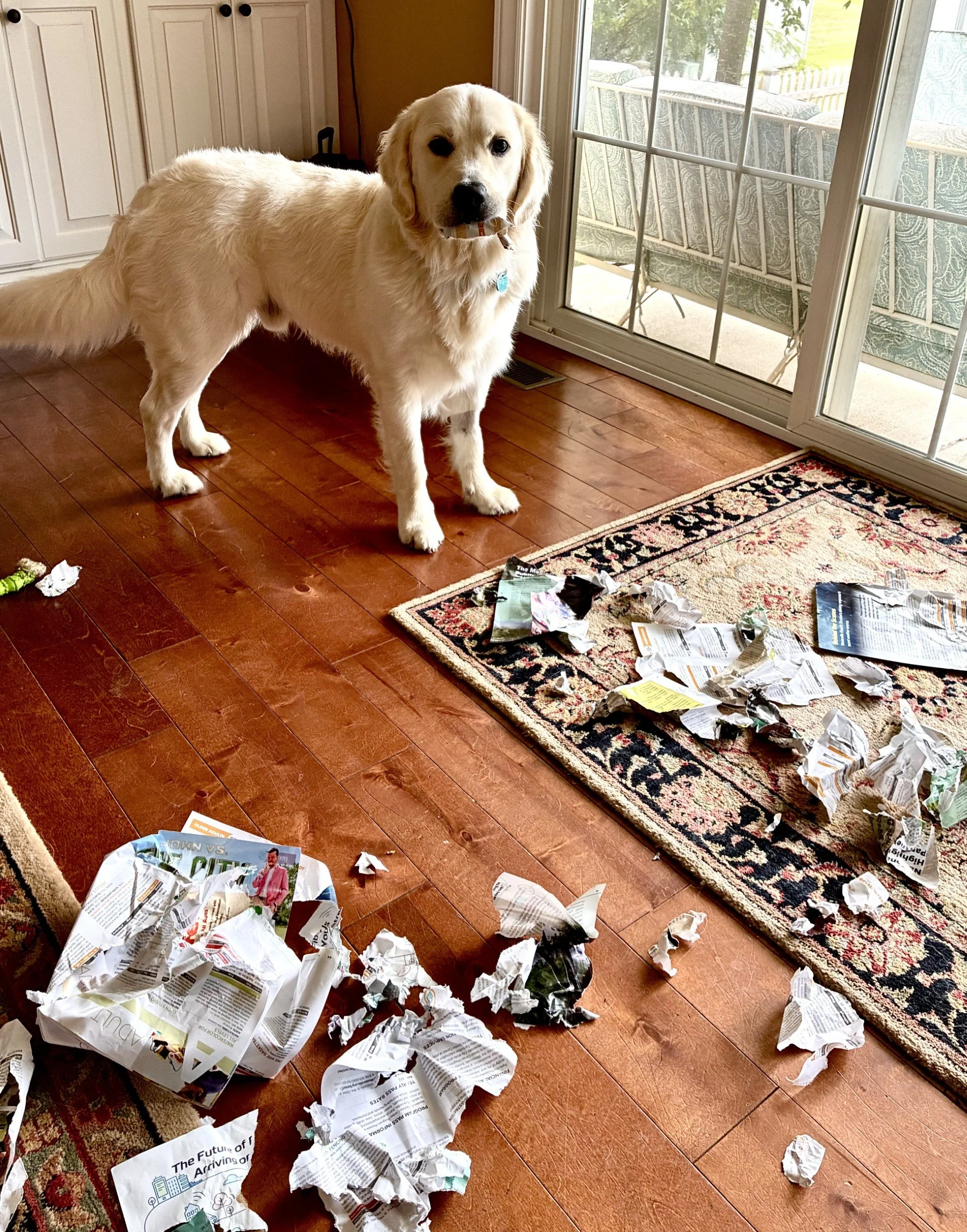 Caught in the Act!