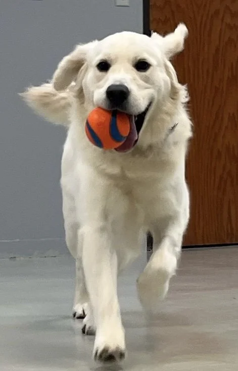 Walter’s Joyful Journey, Week Two at School