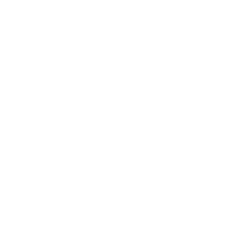 High Achievers & Professionals