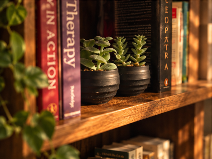 Close up of two succulents on a shelf between books