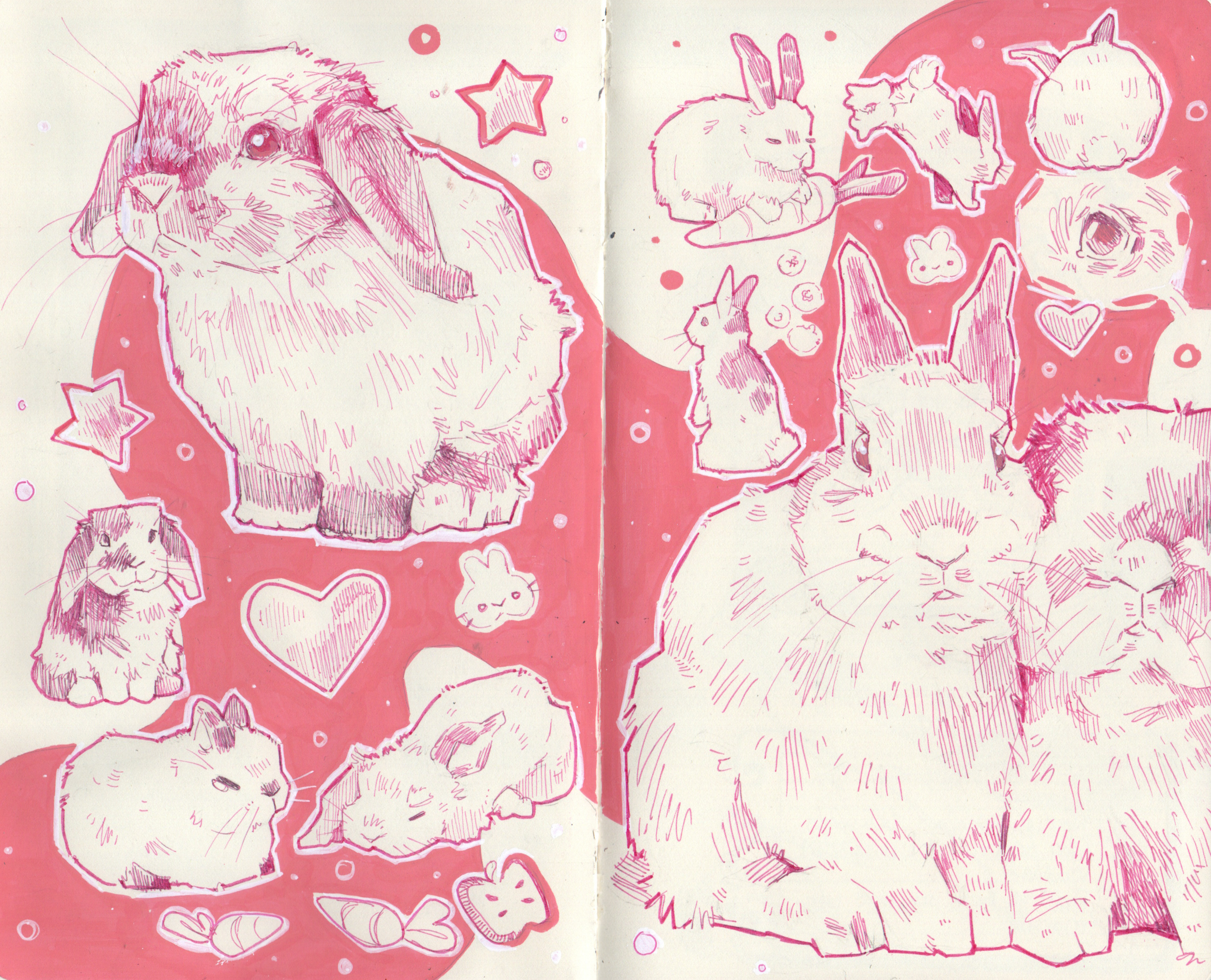 sketch20.png