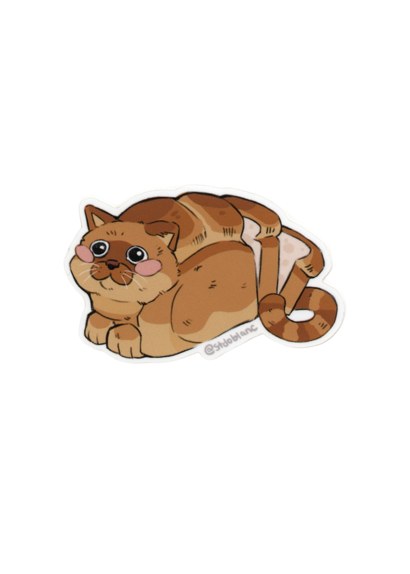 Bread Cat