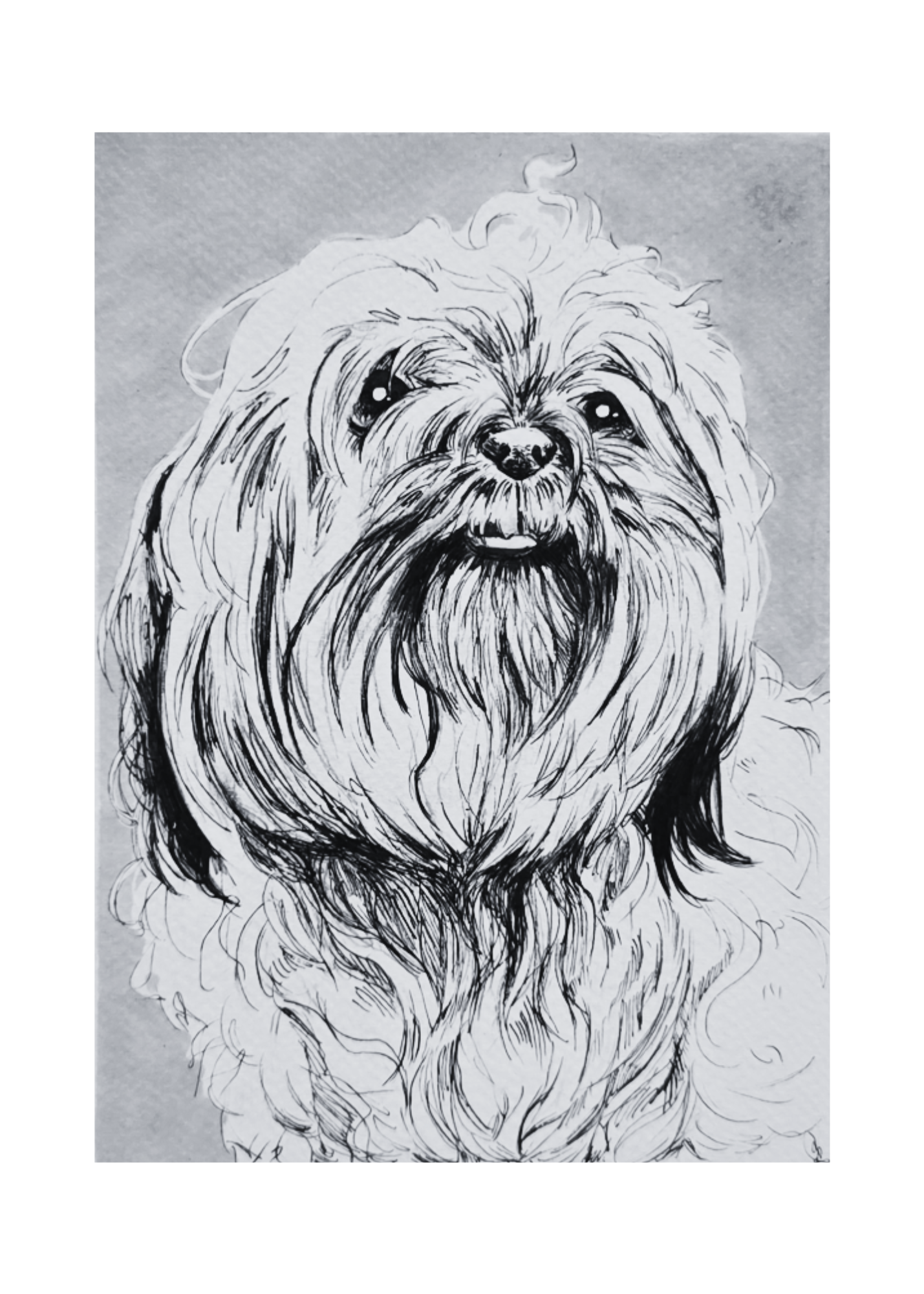 Untitled design (29).png