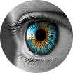 Neal A. Sher, MD, FACS - Ophthalmology Expert Witness